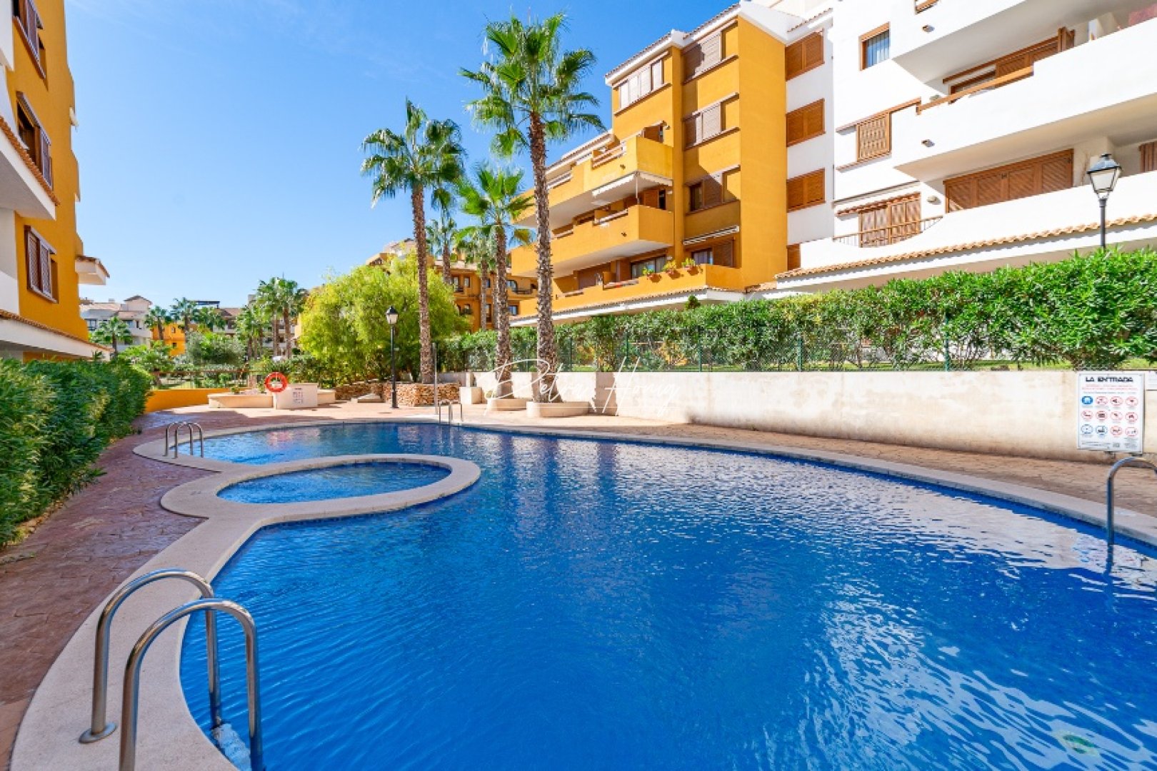 Reventa - Apartamento - Punta Prima