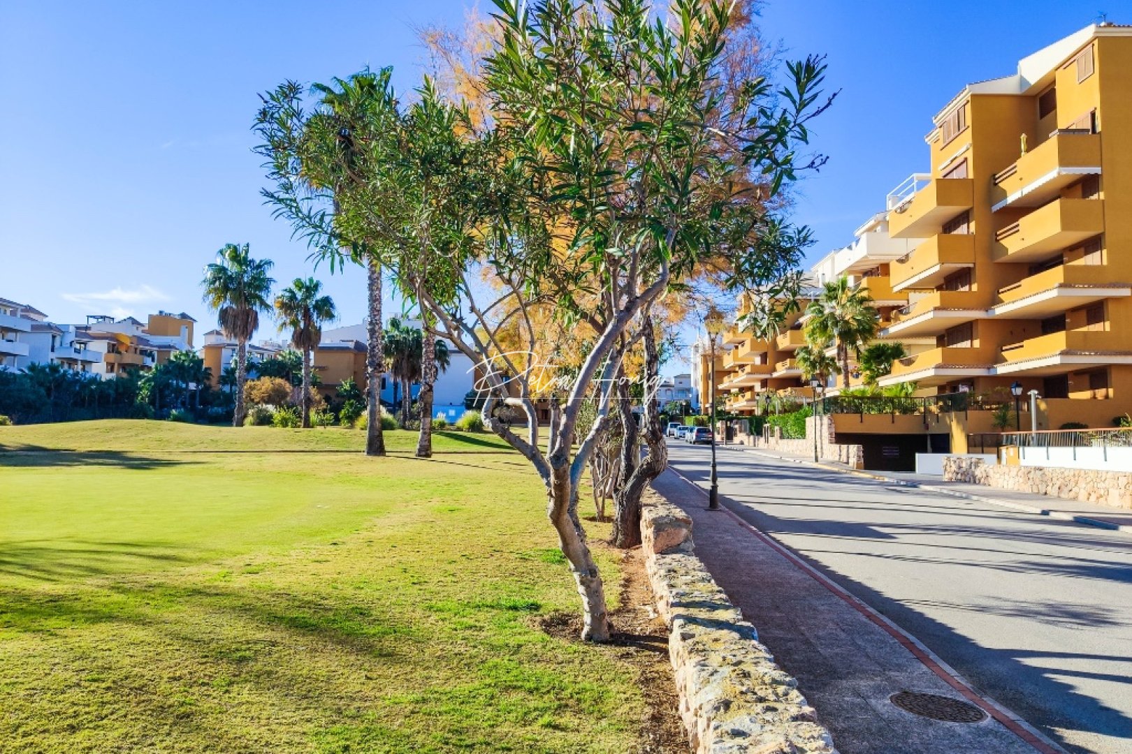 Reventa - Apartamento - Punta Prima