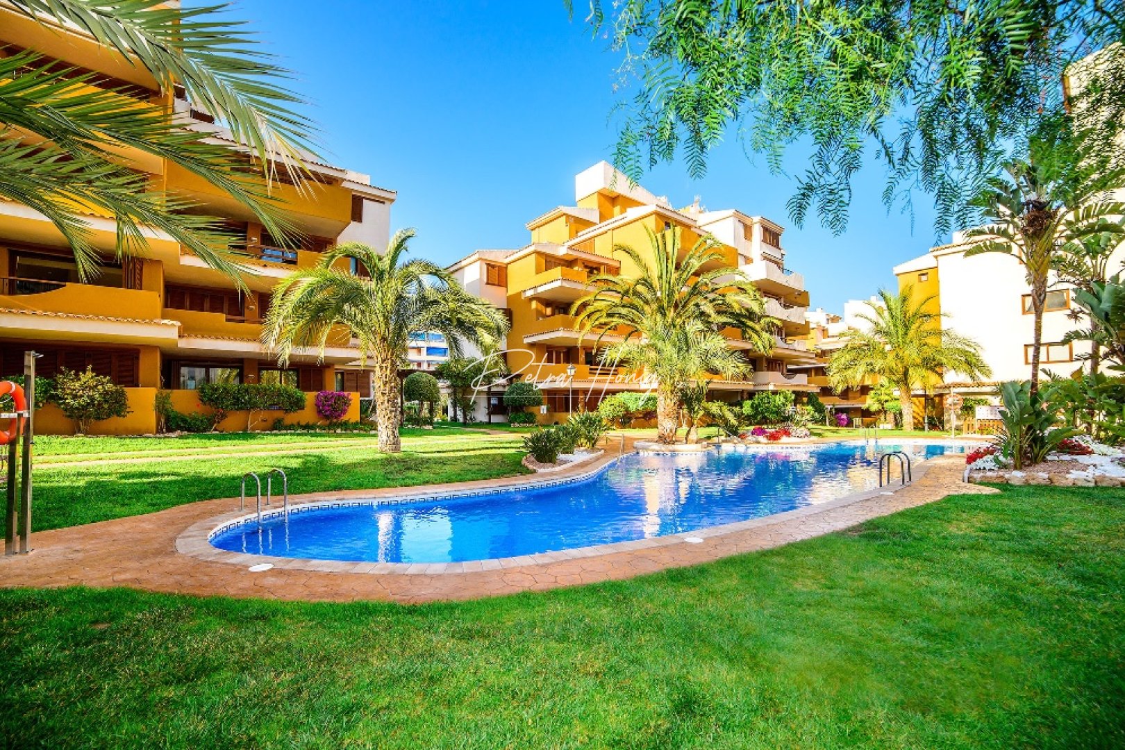 Reventa - Apartamento - Punta Prima
