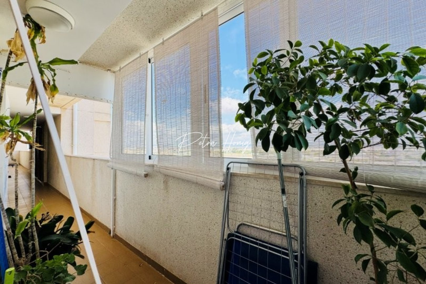 Reventa - Apartamento - Torrevieja - Aguas nuevas 1