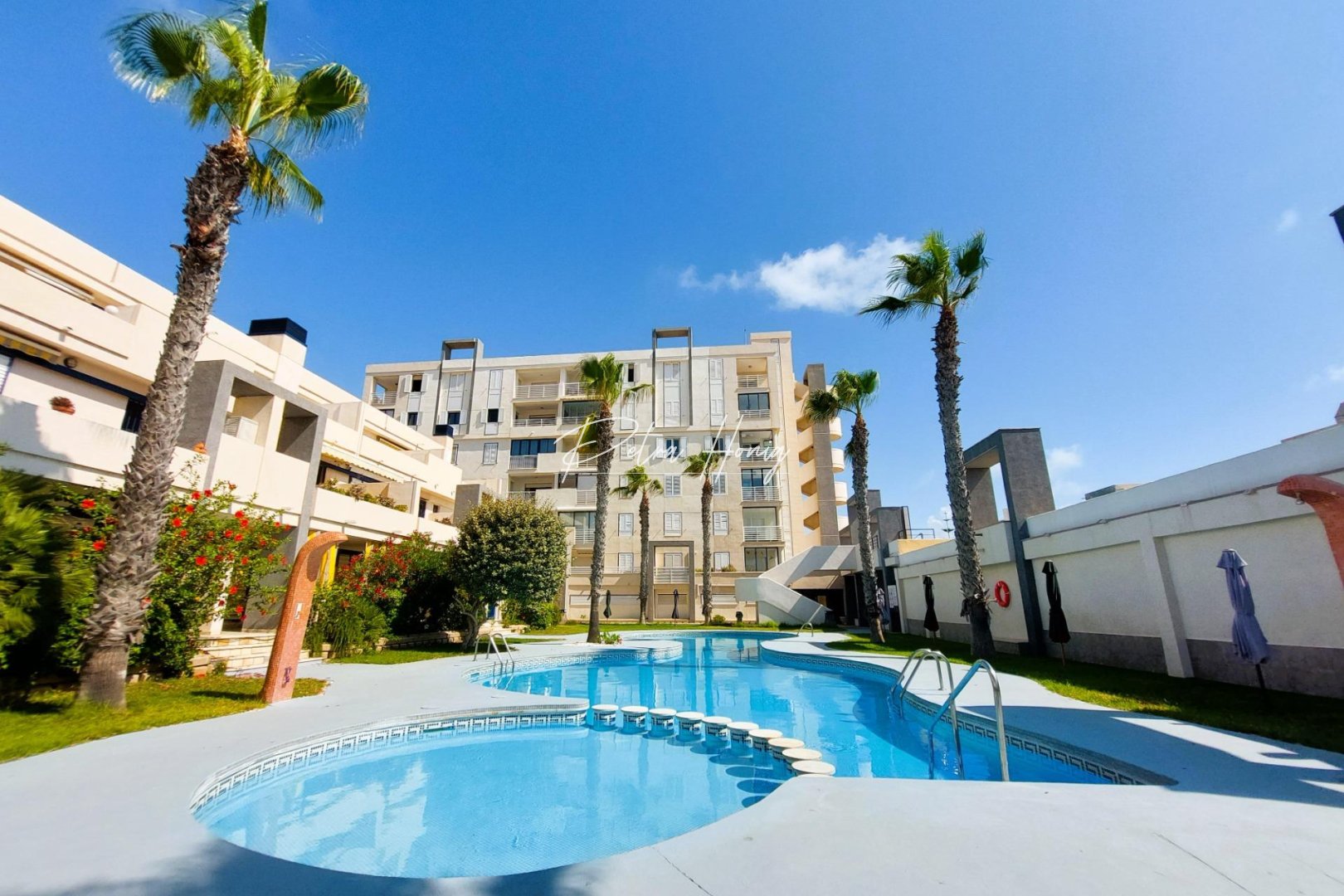 Reventa - Apartamento - Torrevieja - La Mata
