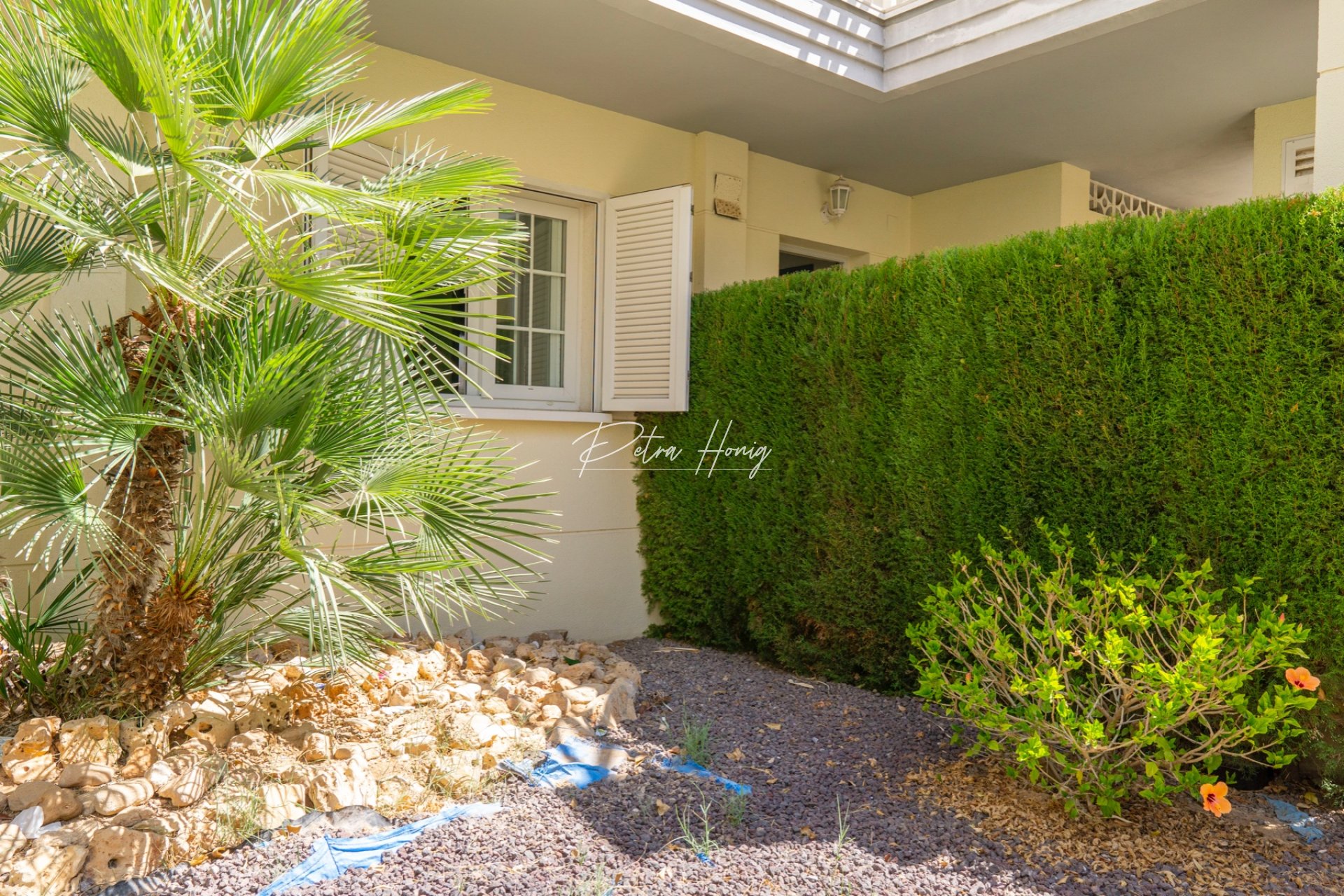 Reventa - Apartamento - Torrevieja - La Veleta