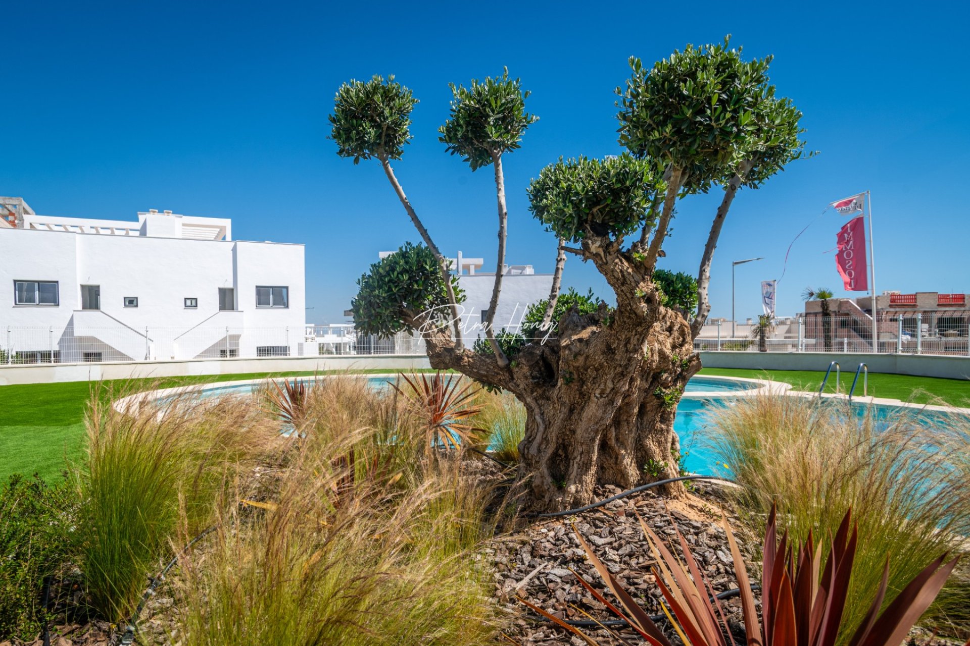 Reventa - Apartamento - Torrevieja - Los Balcones