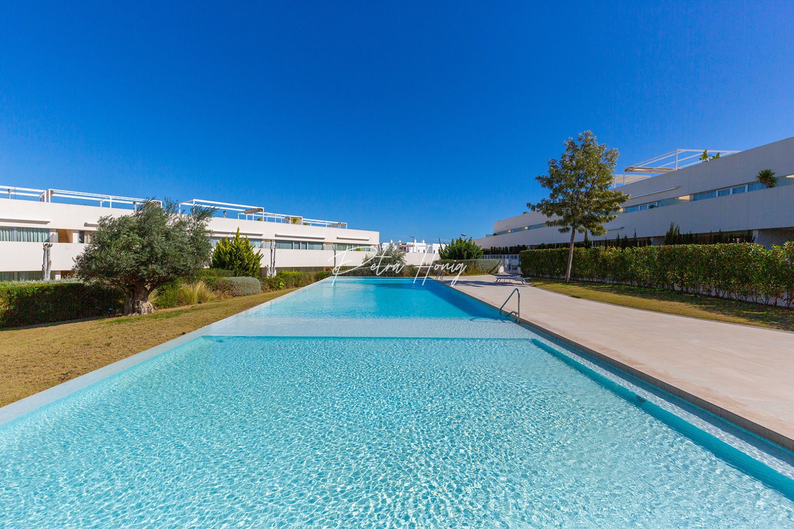 Reventa - Apartamento - Torrevieja - Los Balcones