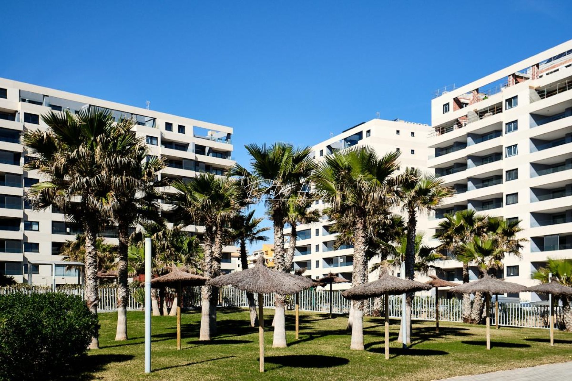 Reventa - Apartamento - Torrevieja - Punta Prima