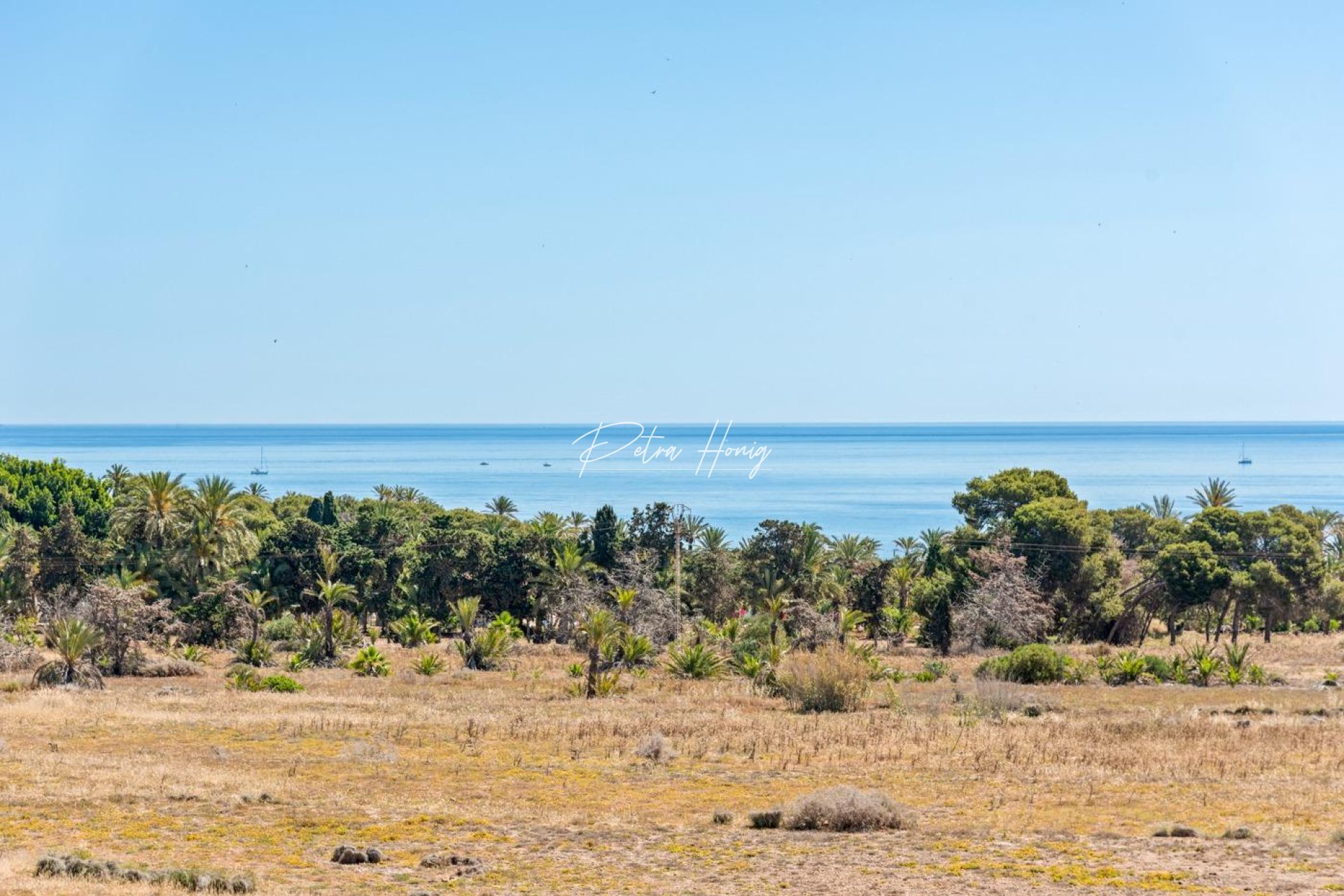 Reventa - Apartamento - Torrevieja - Punta prima