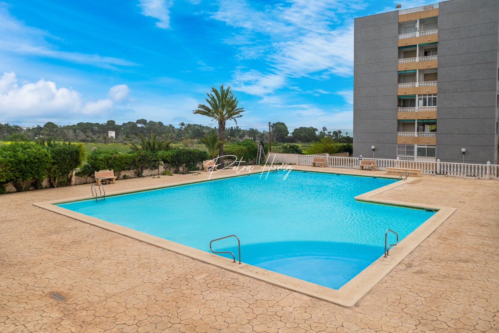 Reventa - Apartamento - Torrevieja - Punta Prima