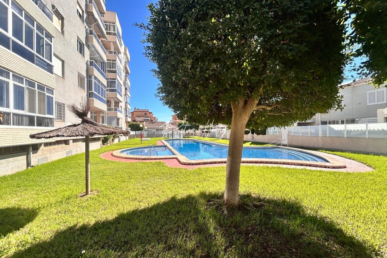 Reventa - Apartamento - Torrevieja - Torreblanca