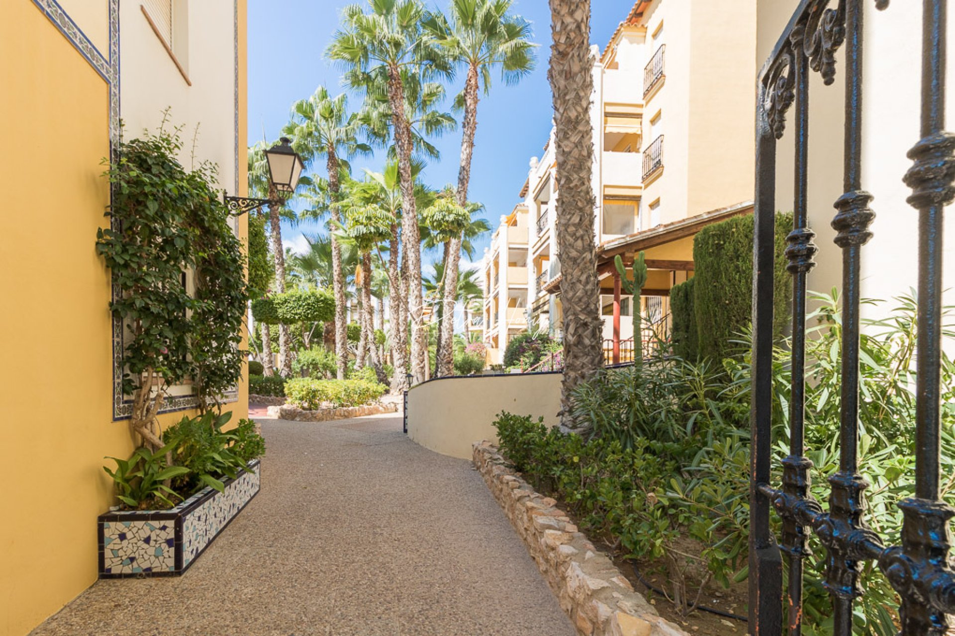 Reventa - Apartamento - Torrevieja