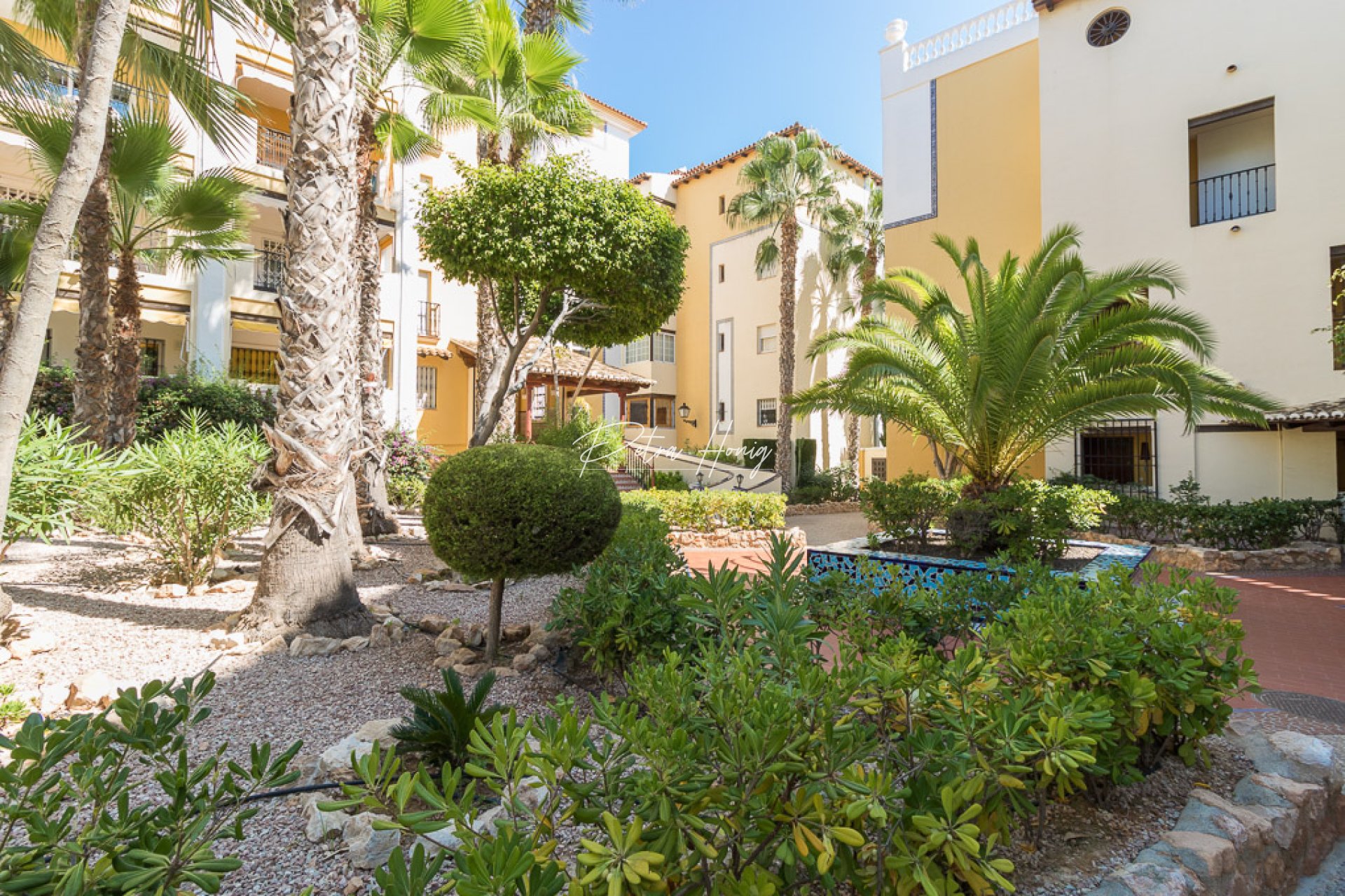Reventa - Apartamento - Torrevieja