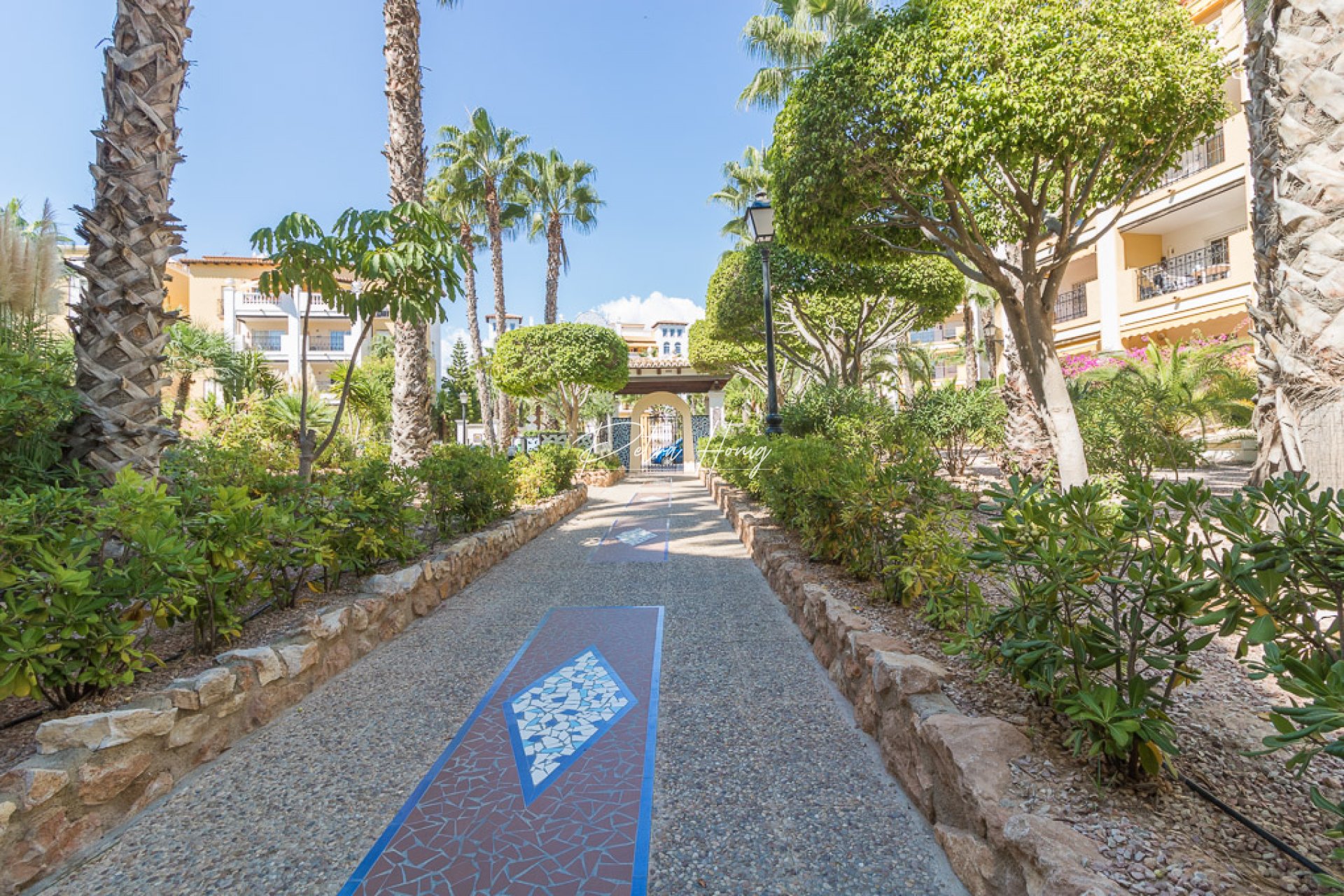 Reventa - Apartamento - Torrevieja