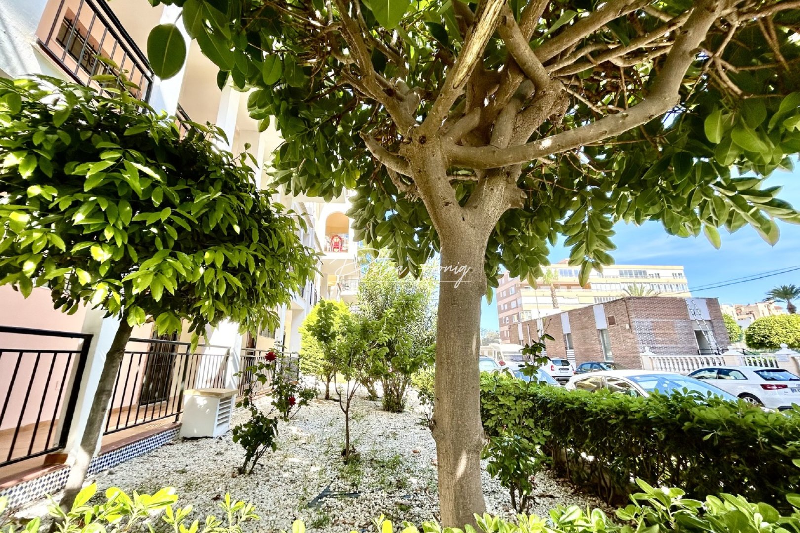 Reventa - Apartamento - Torrevieja