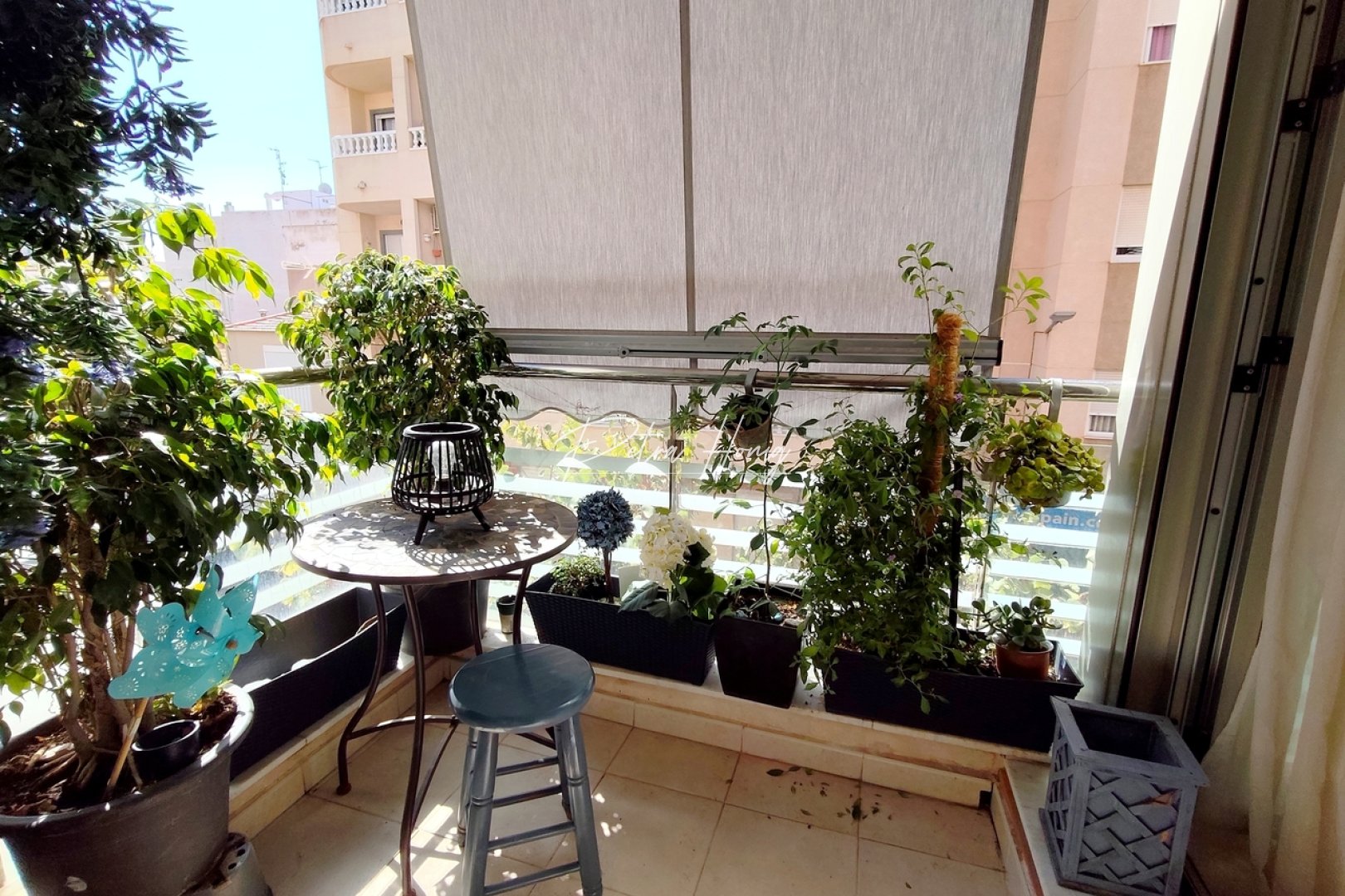 Reventa - Apartamento - Torrevieja