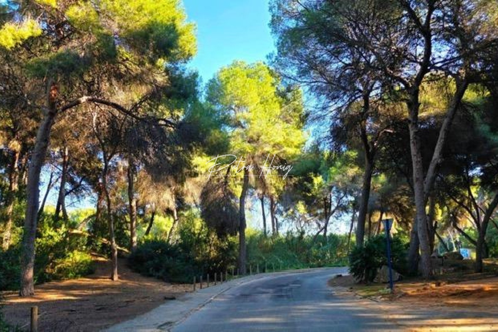 Reventa - Chalet - Campoamor