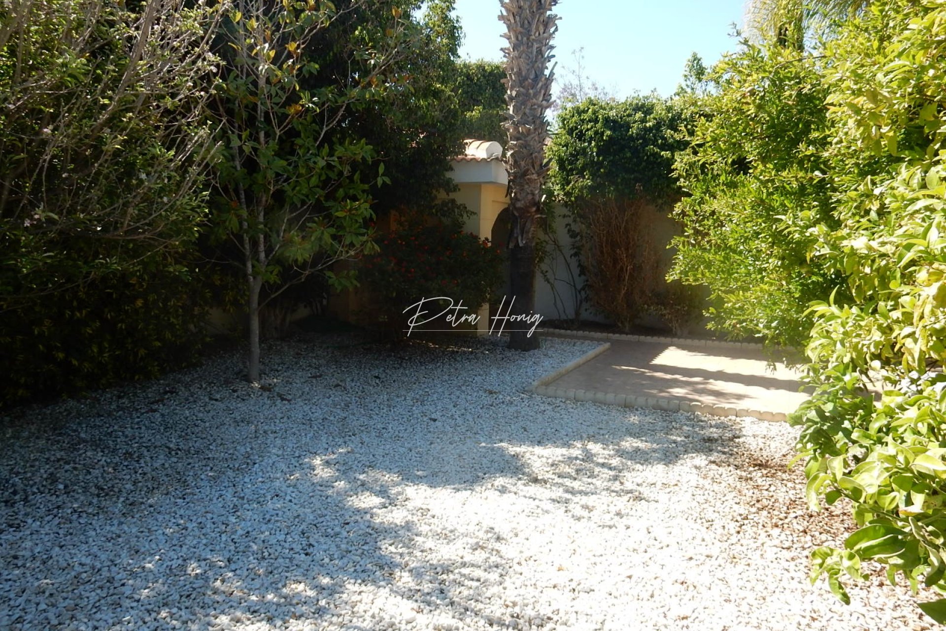 Reventa - Chalet - Ciudad Quesada - Dona Pepa