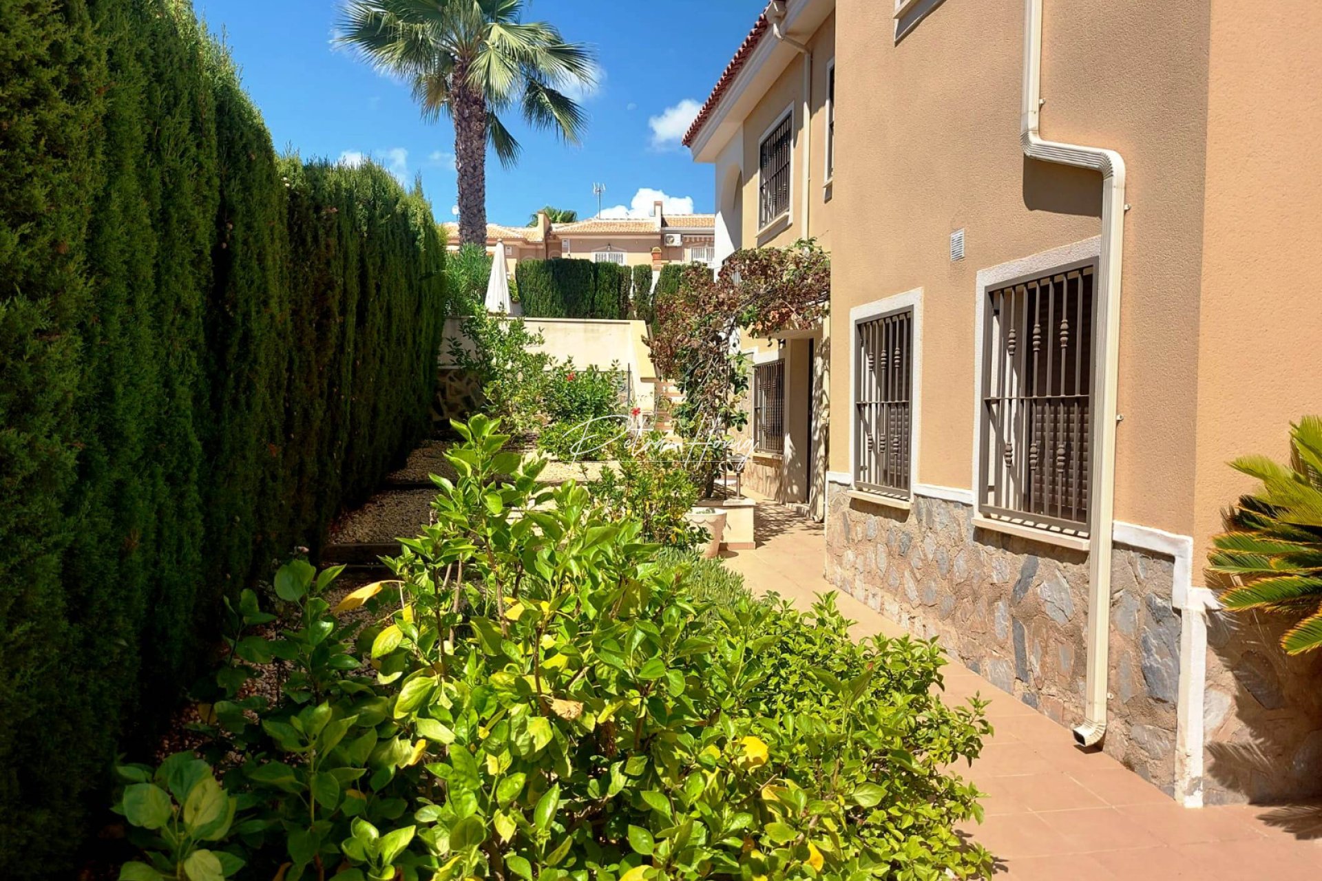 Reventa - Chalet - Ciudad Quesada - La Fiesta