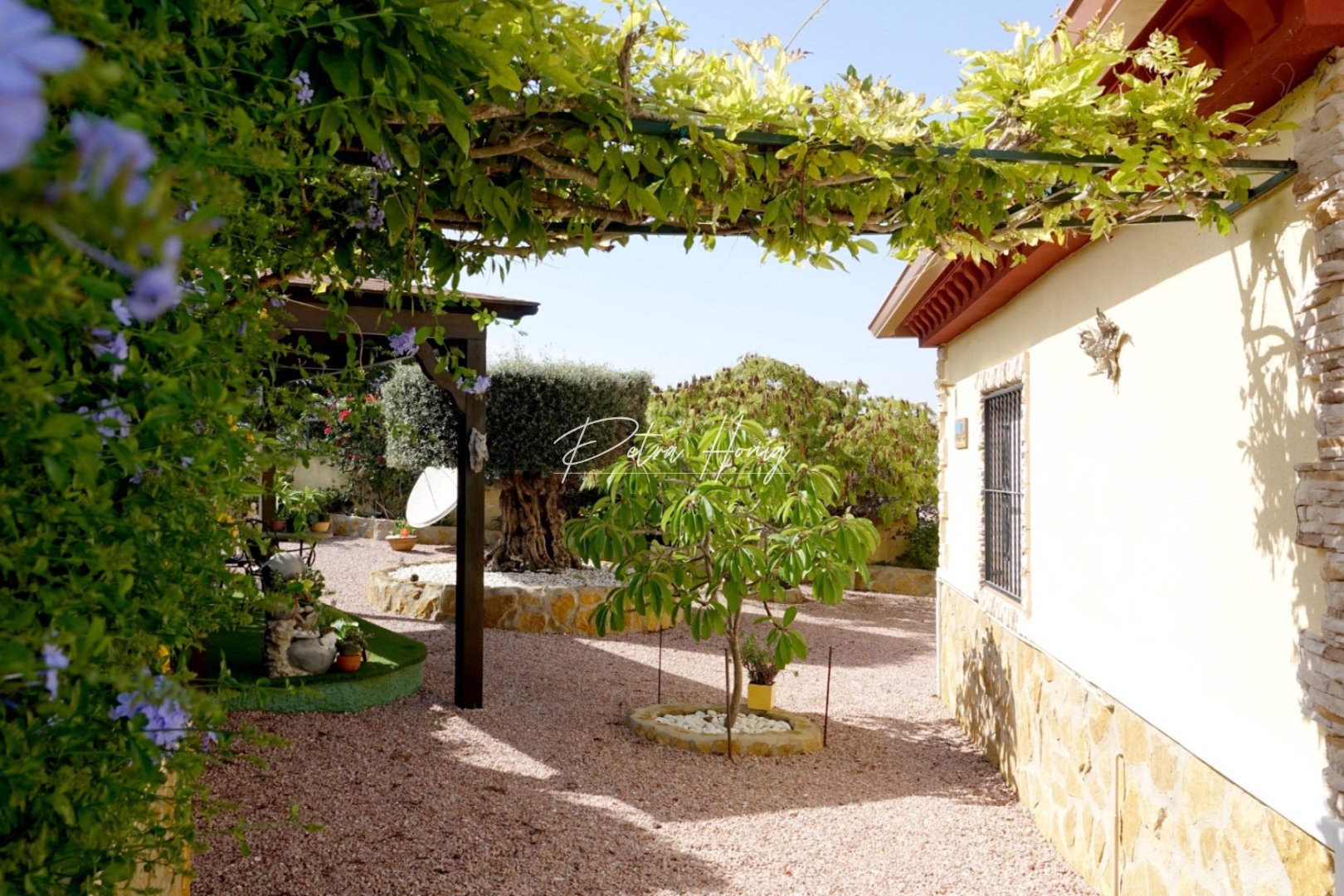 Reventa - Chalet - Ciudad Quesada - La Marquesa Golf