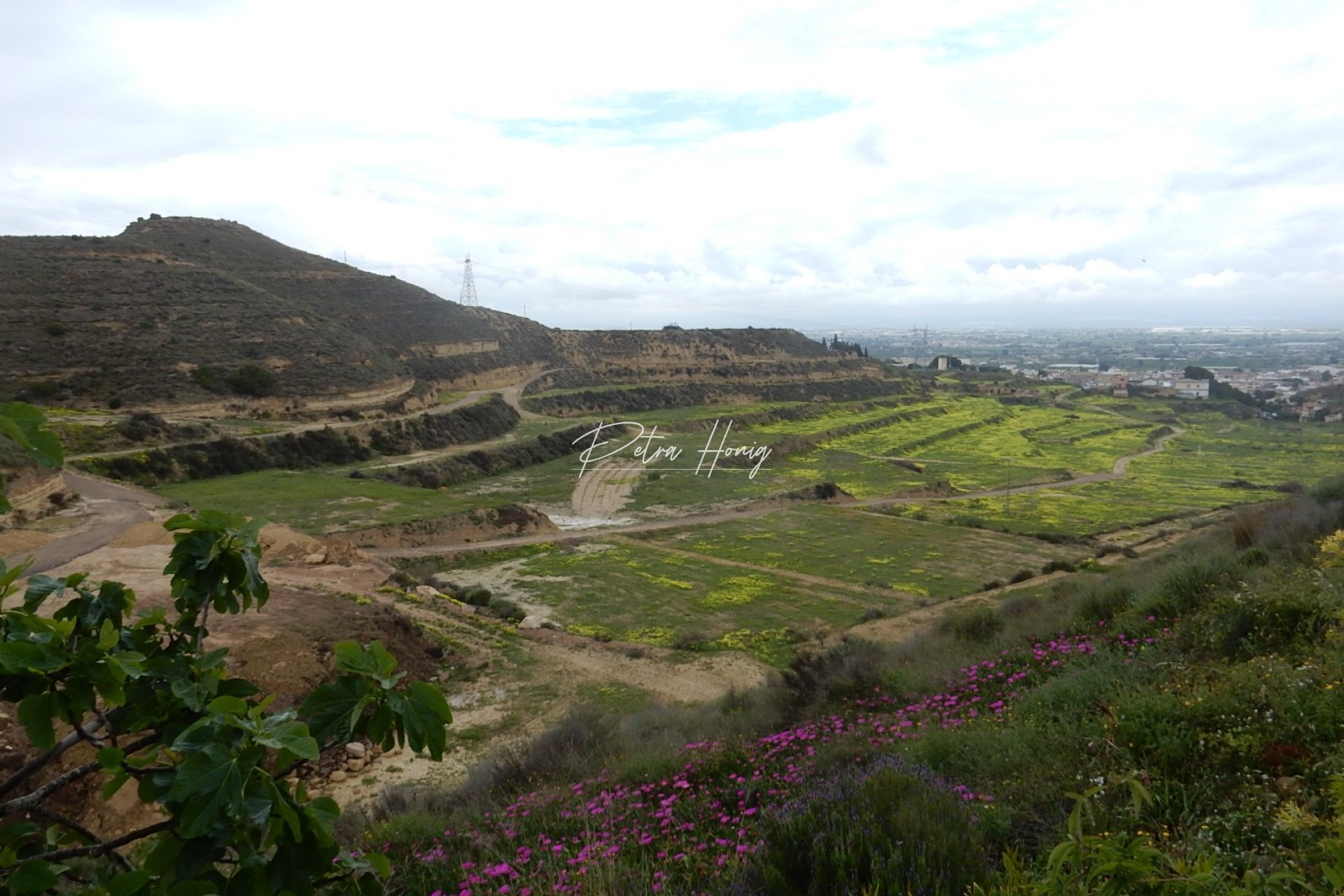 Reventa - Chalet - Ciudad Quesada - La Marquesa Golf