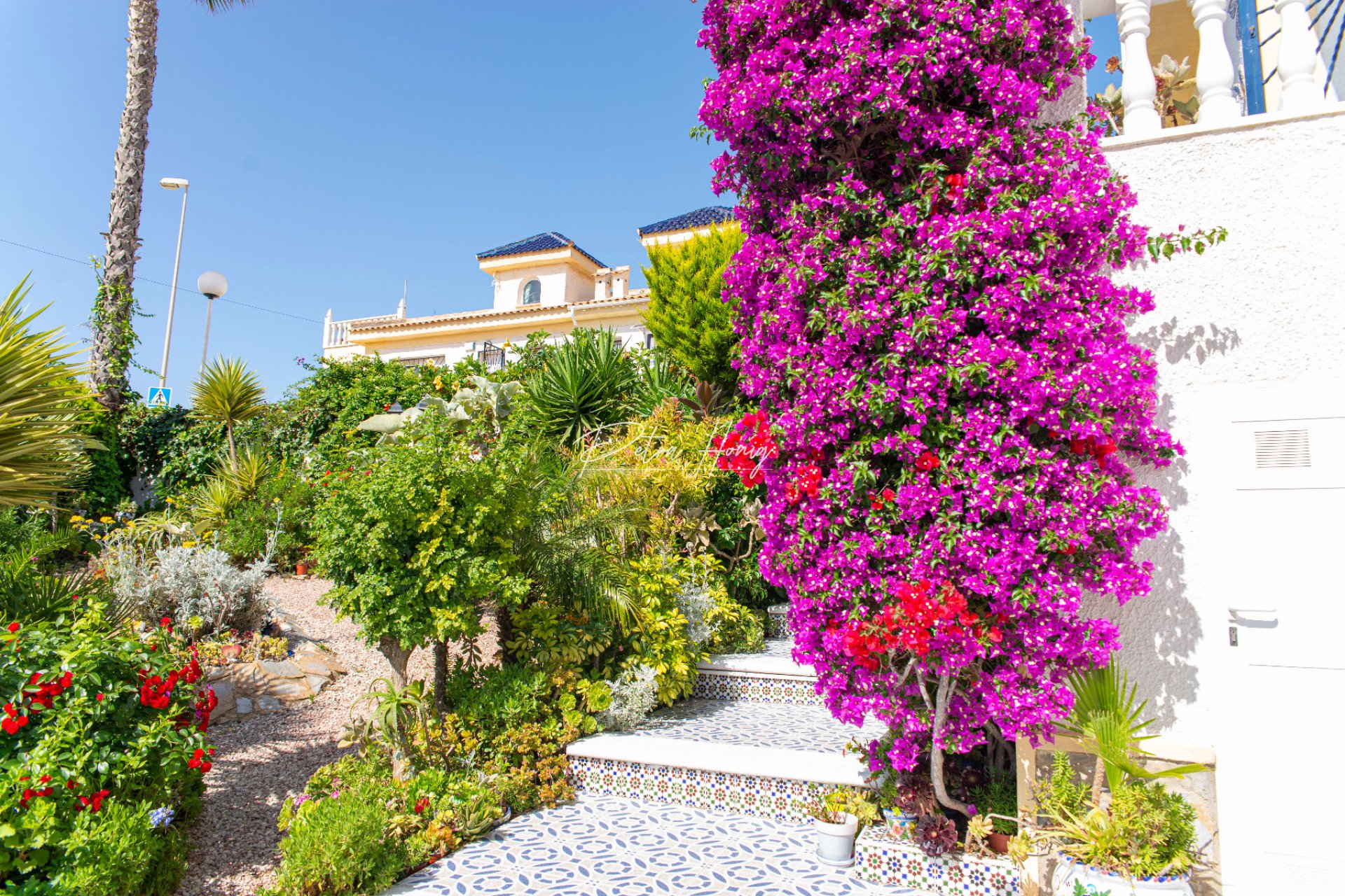 Reventa - Chalet - Ciudad Quesada - La Marquesa Golf