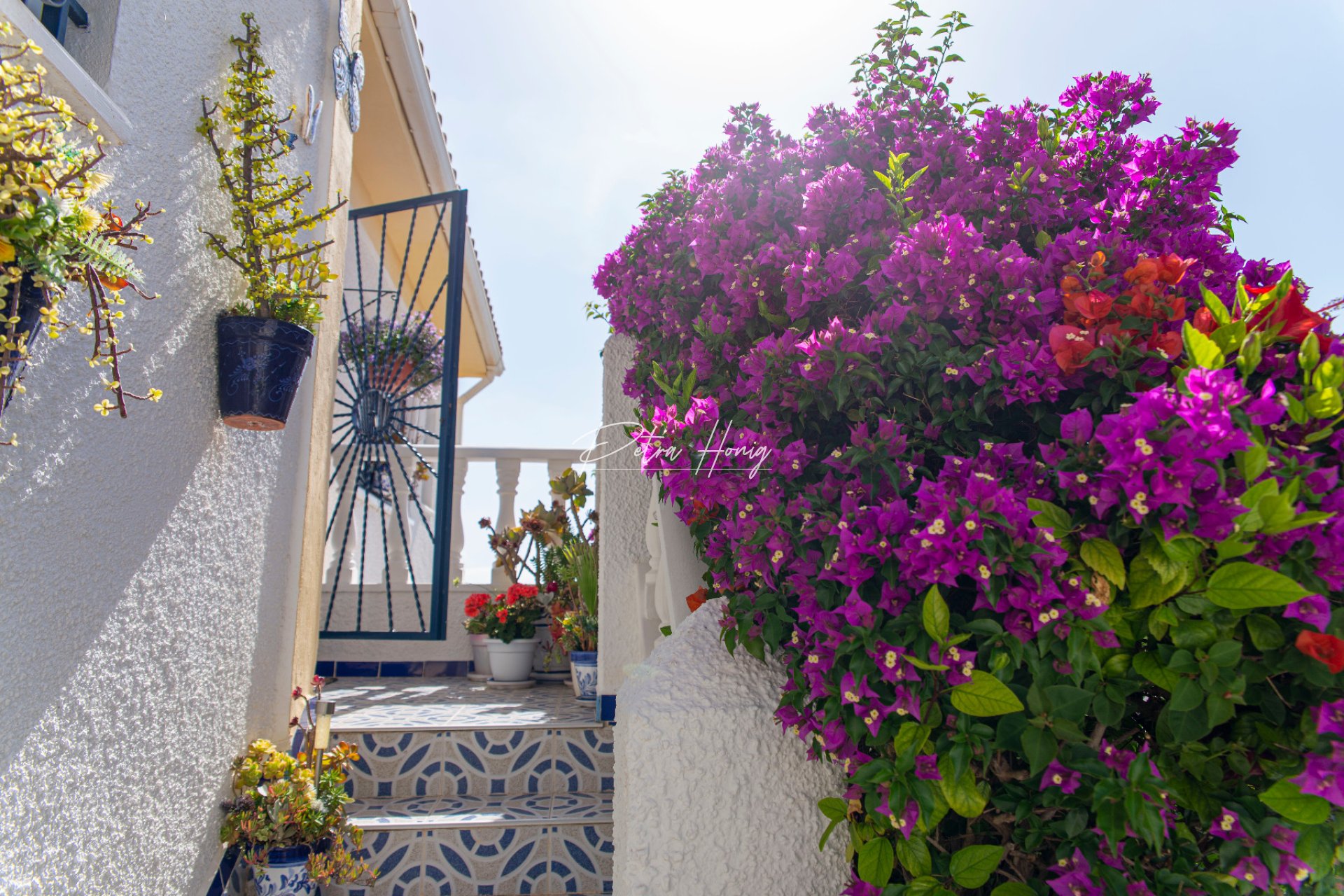 Reventa - Chalet - Ciudad Quesada - La Marquesa Golf