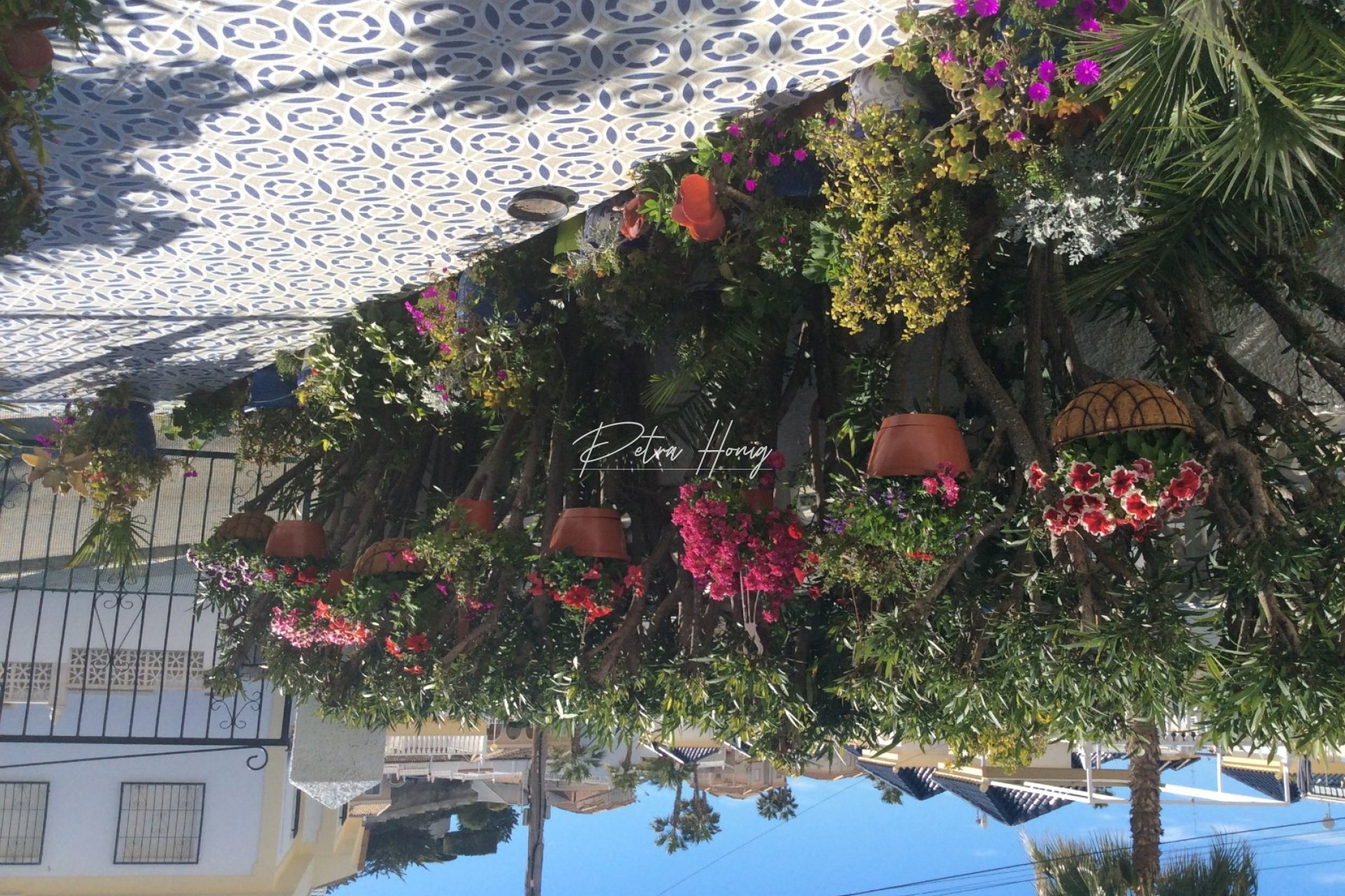 Reventa - Chalet - Ciudad Quesada - La Marquesa Golf