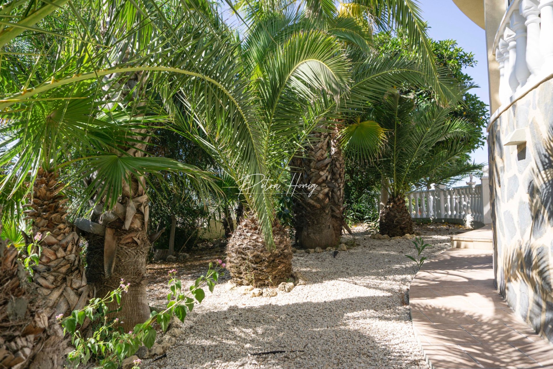 Reventa - Chalet - Ciudad Quesada - Pueblo Lucero