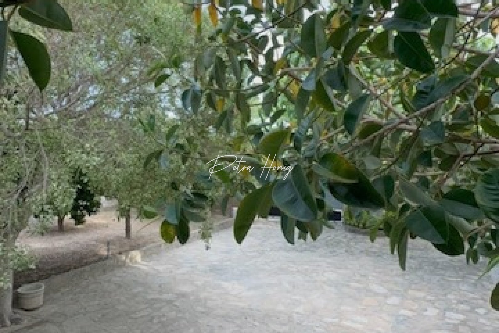 Reventa - Chalet - Ciudad Quesada - Town Center