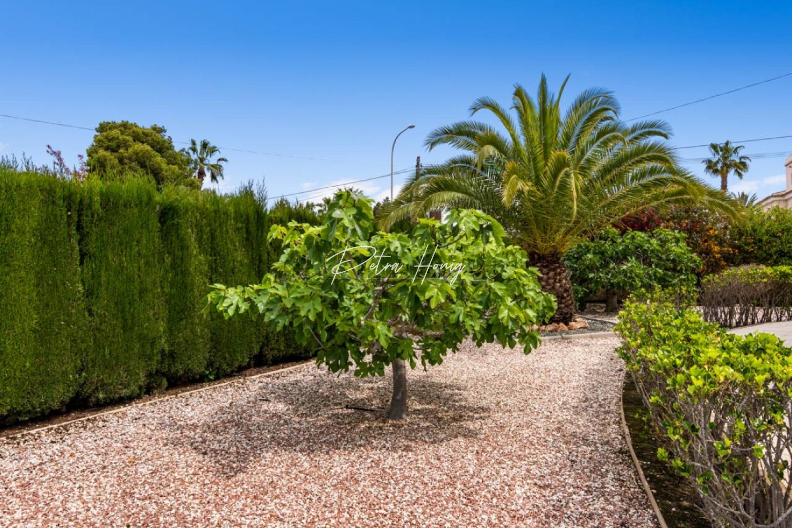 Reventa - Chalet - Ciudad Quesada - Town Center