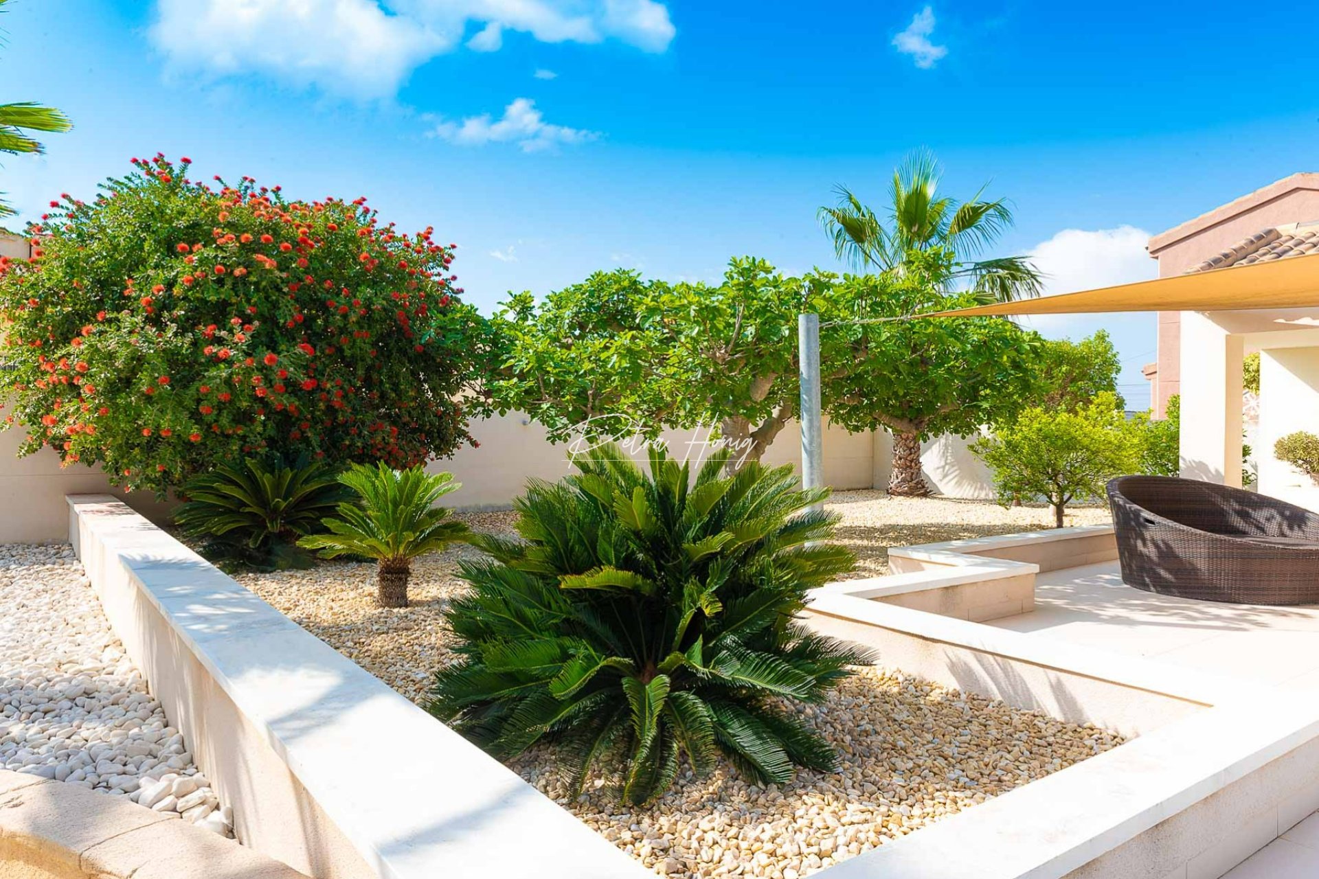 Reventa - Chalet - Ciudad Quesada - Town Center