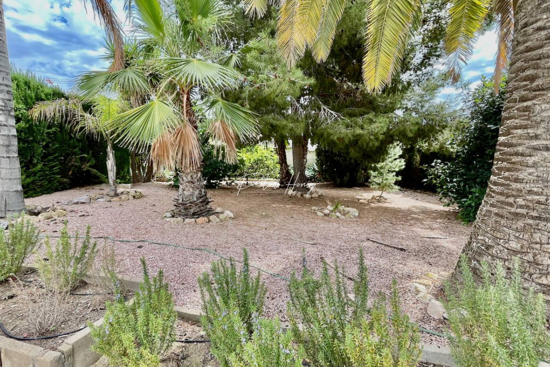 Reventa - Chalet - Ciudad Quesada - Town Center