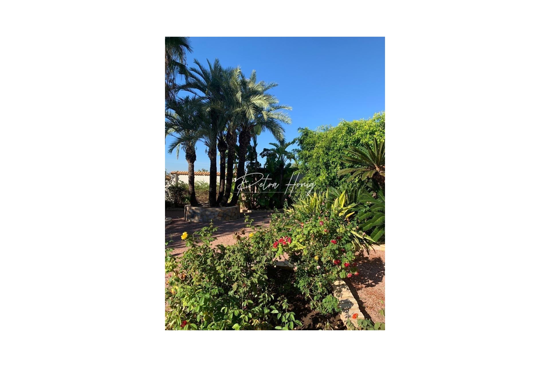 Reventa - Chalet - Ciudad Quesada - Town Center