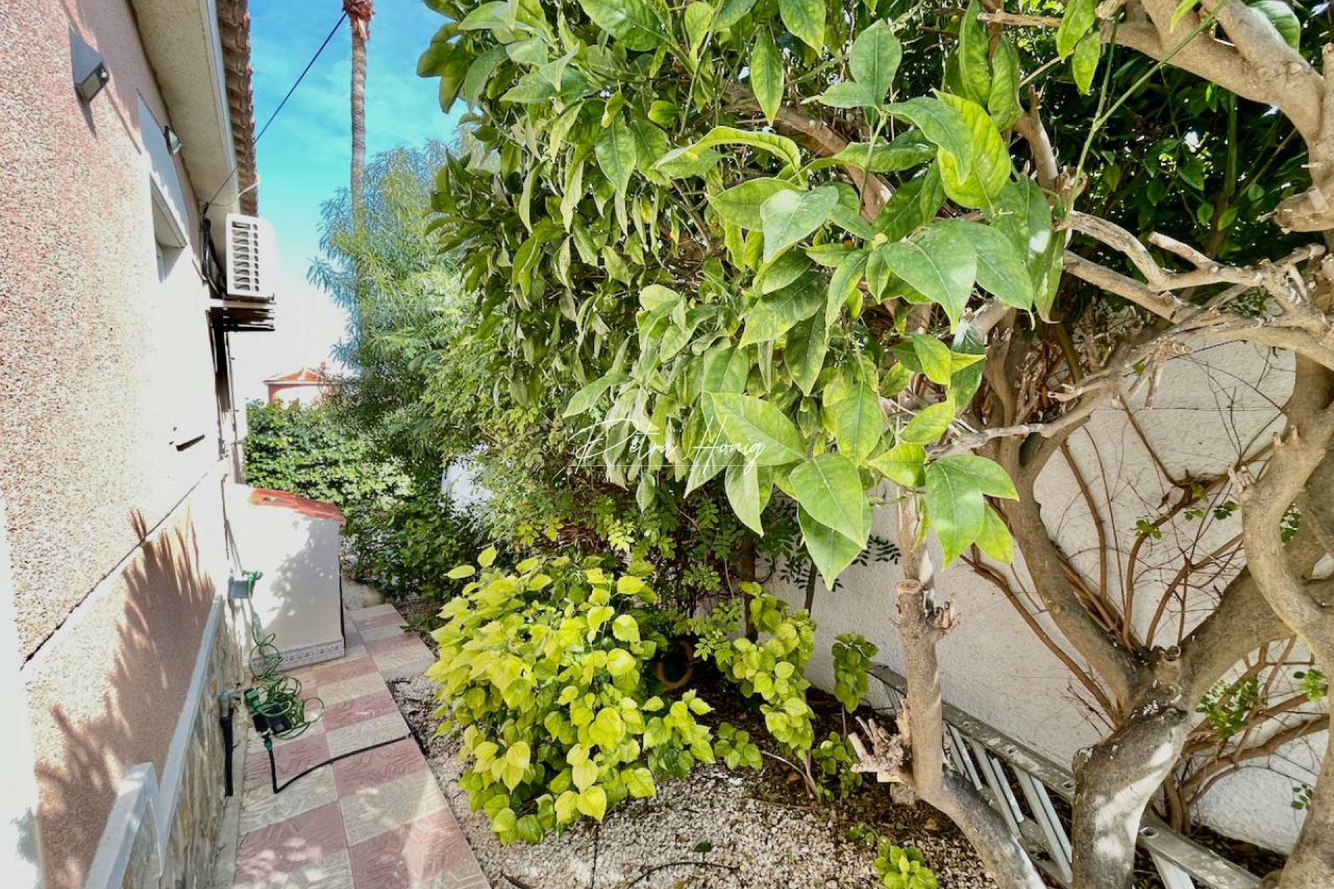 Reventa - Chalet - Ciudad Quesada