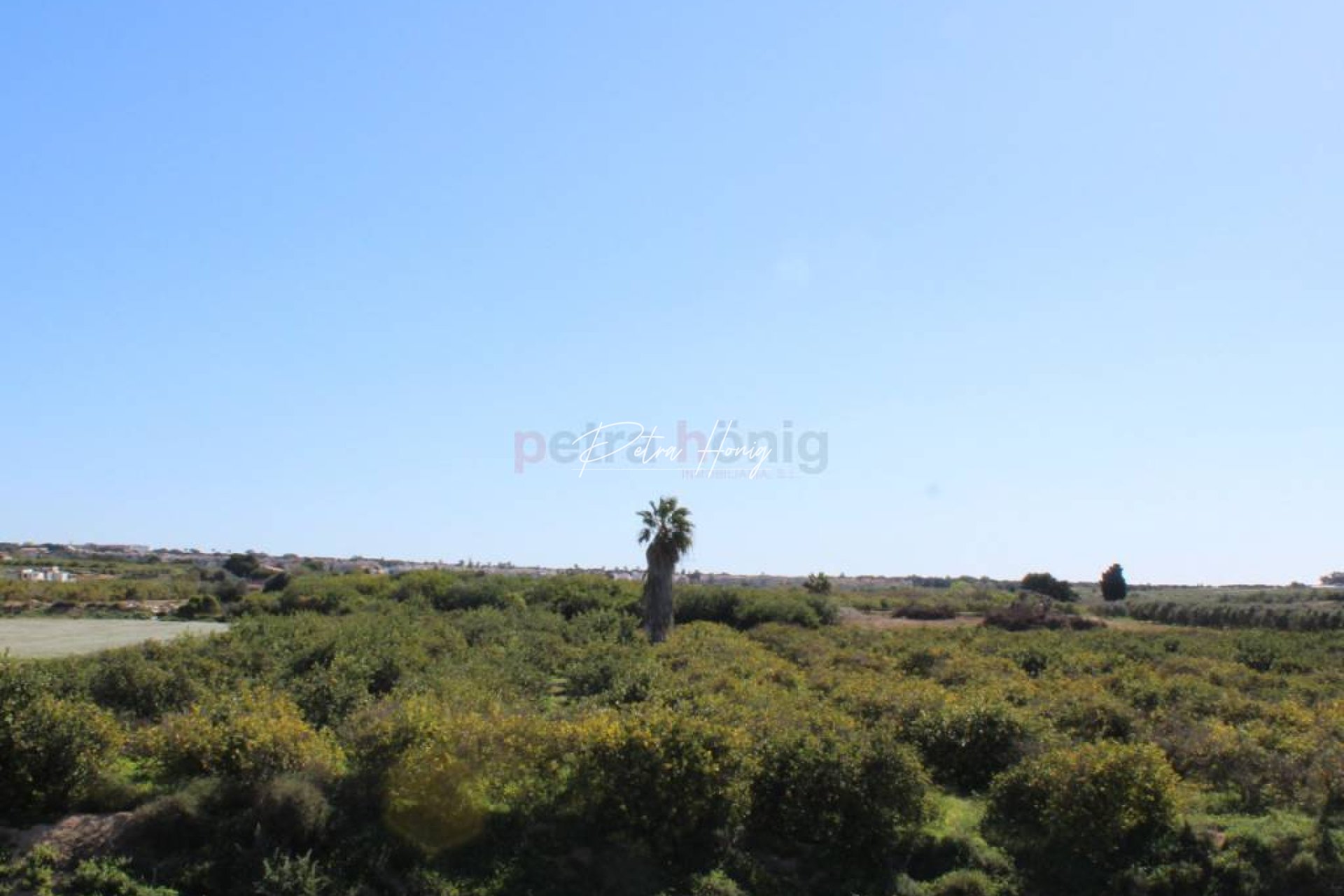 Reventa - Chalet - El Raso - El Raso, Guardamar