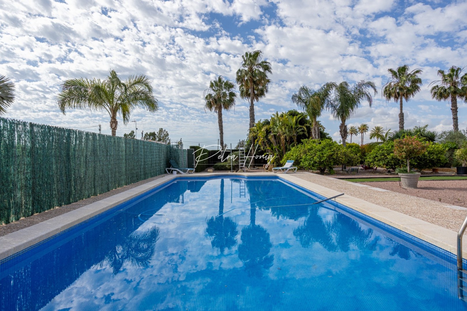 Reventa - Chalet - Elche - La Hoya