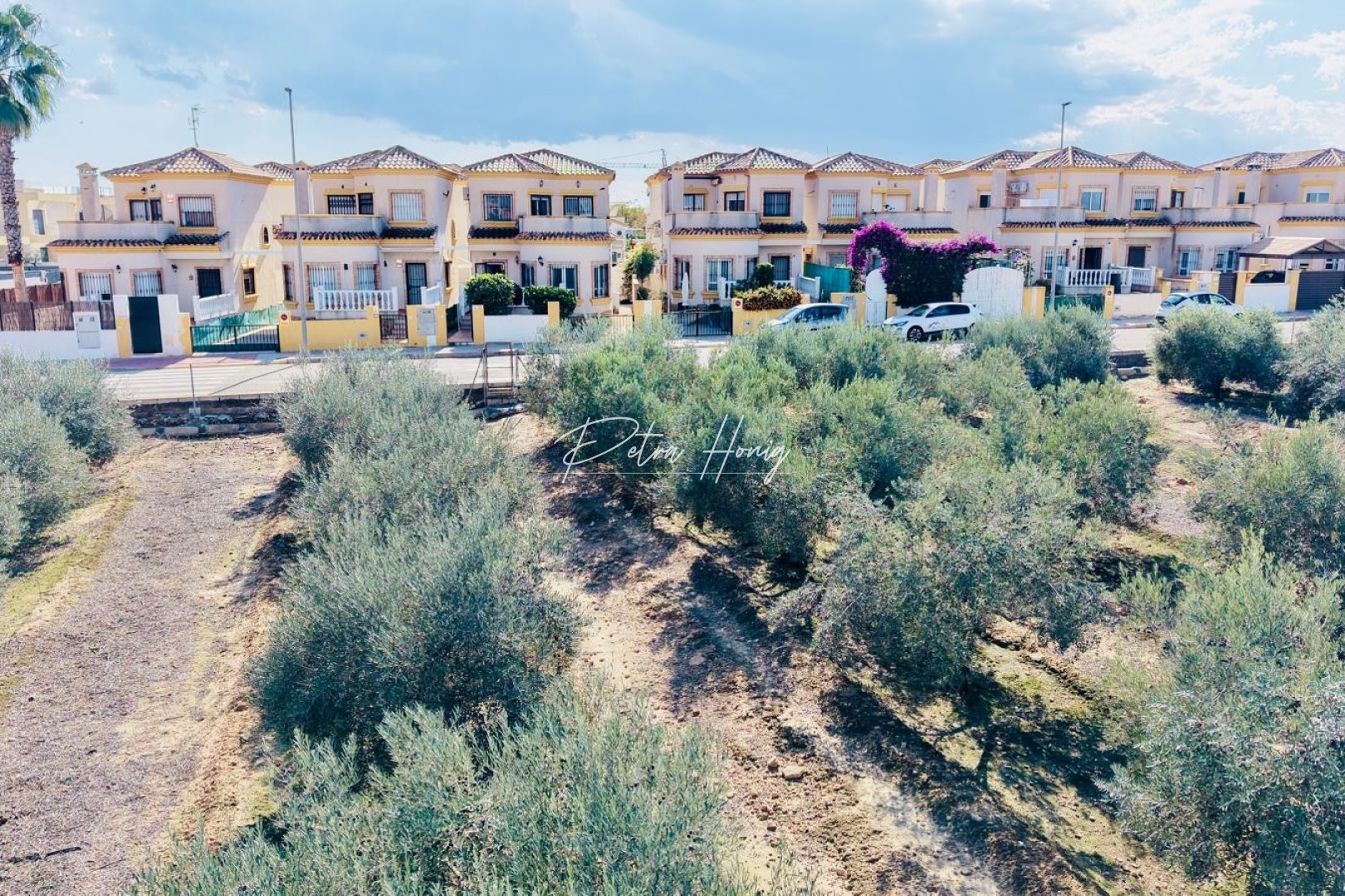 Reventa - Chalet - Los Montesinos - La Herrada