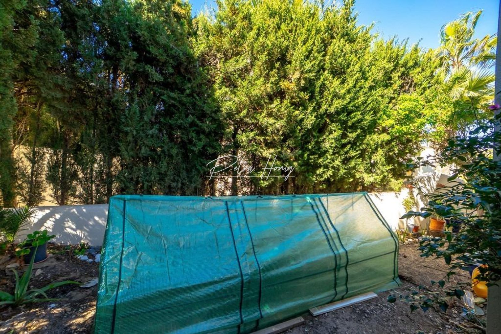 Reventa - Chalet - Orihuela Costa - Las Ramblas