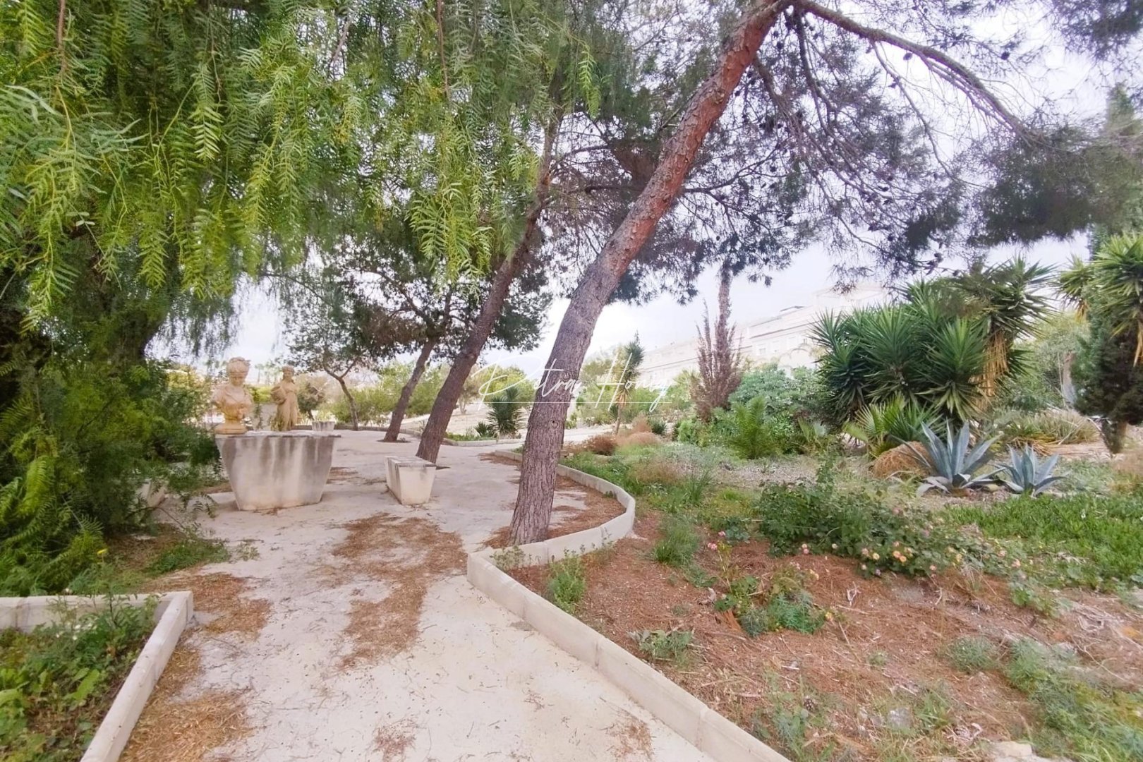 Reventa - Chalet - San Miguel de Salinas - Las filipinas