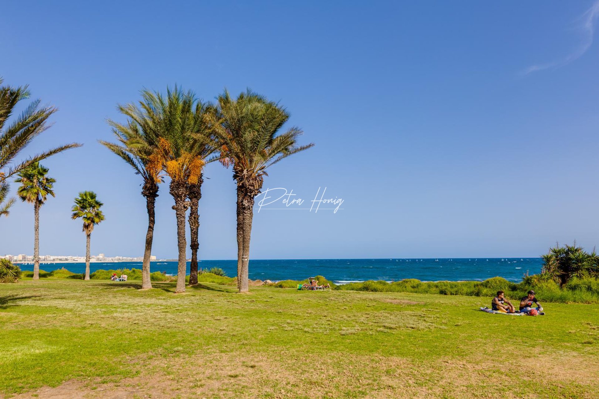Reventa - Chalet - Torrevieja - La Veleta