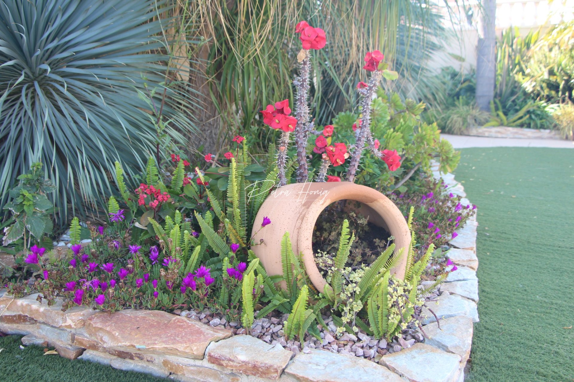 Reventa - Chalet - Torrevieja