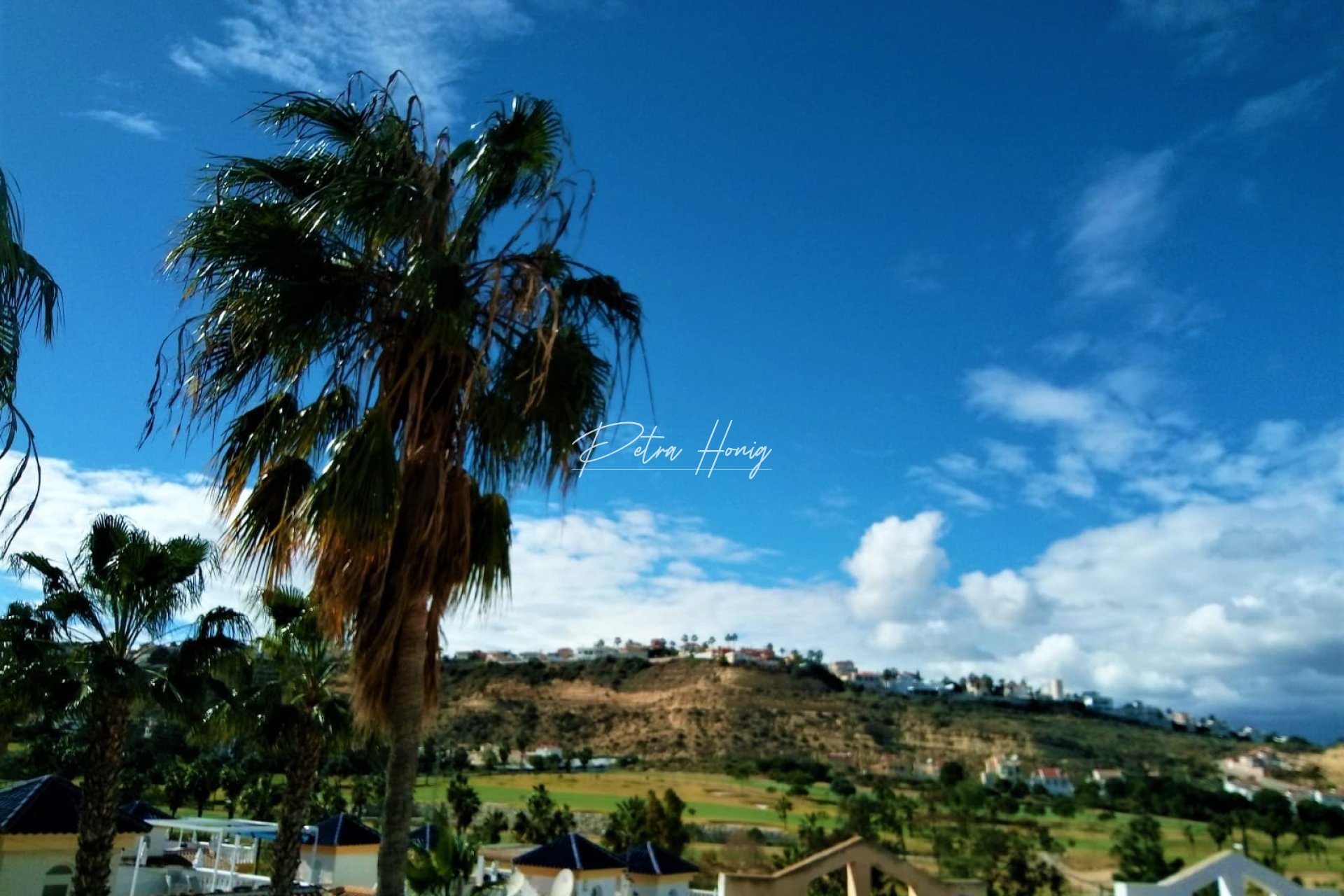 Reventa -  - Ciudad Quesada - La  Marquesa Golf