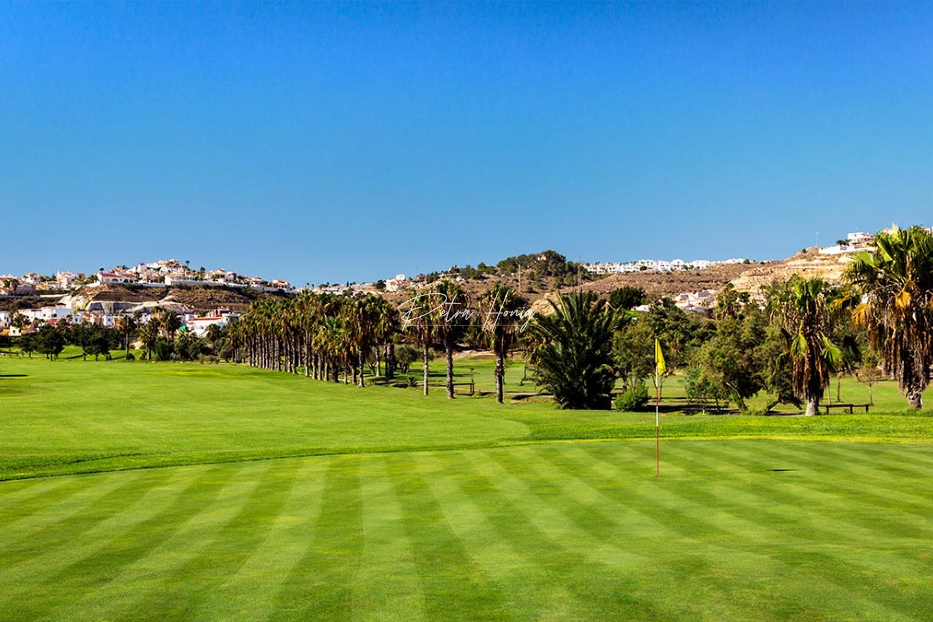 Reventa -  - Ciudad Quesada - La  Marquesa Golf