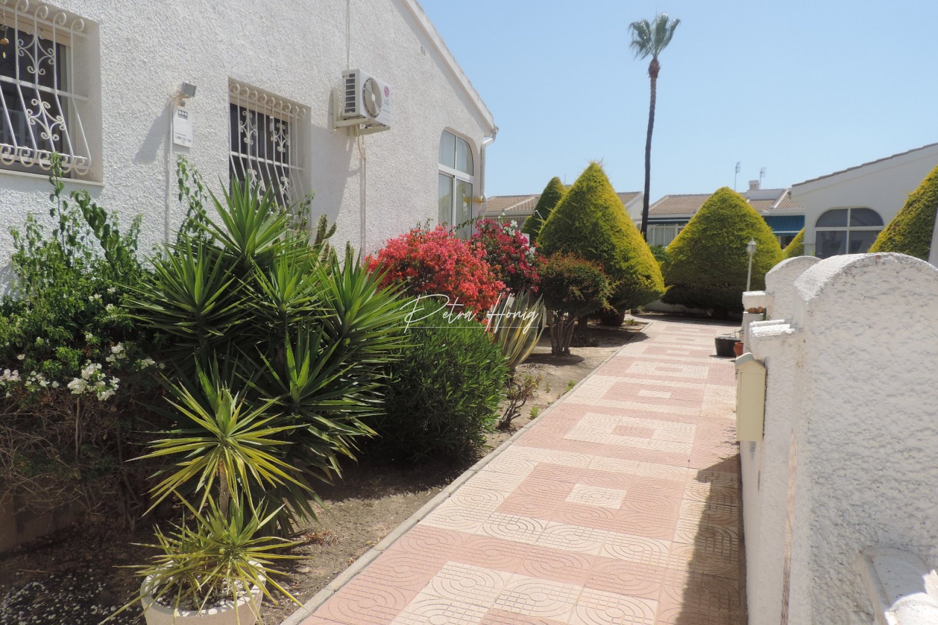 Reventa -  - Ciudad Quesada - Pueblo Bravo