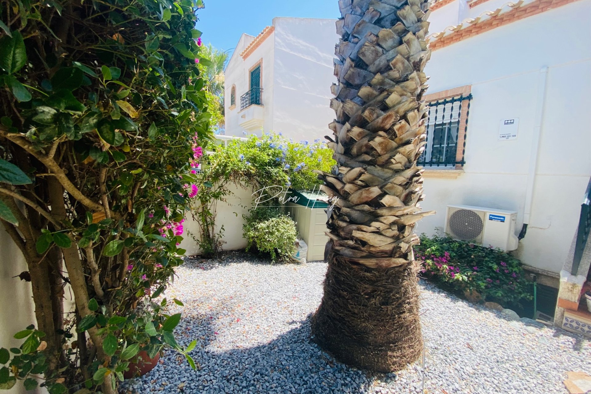 Reventa -  - El Raso - El Raso, Guardamar