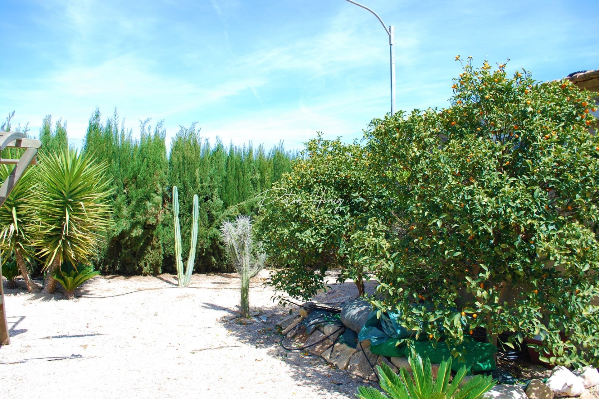 Reventa - Finca - Alcantarilla - country