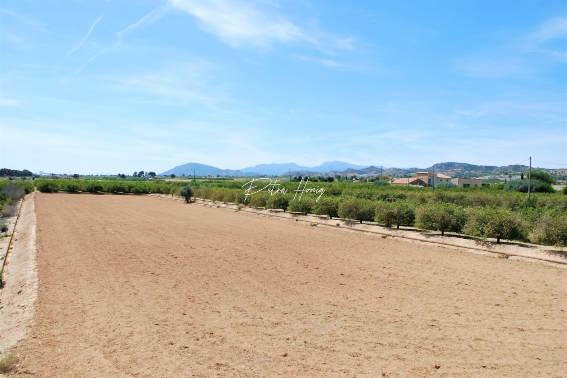 Reventa - Finca - Alcantarilla - country