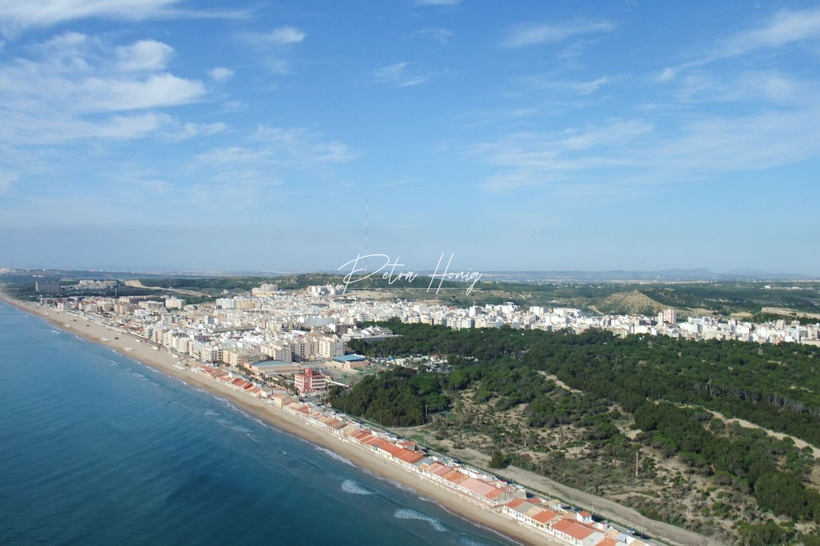 Reventa - Finca - Algorfa (montemar) - Algorfa