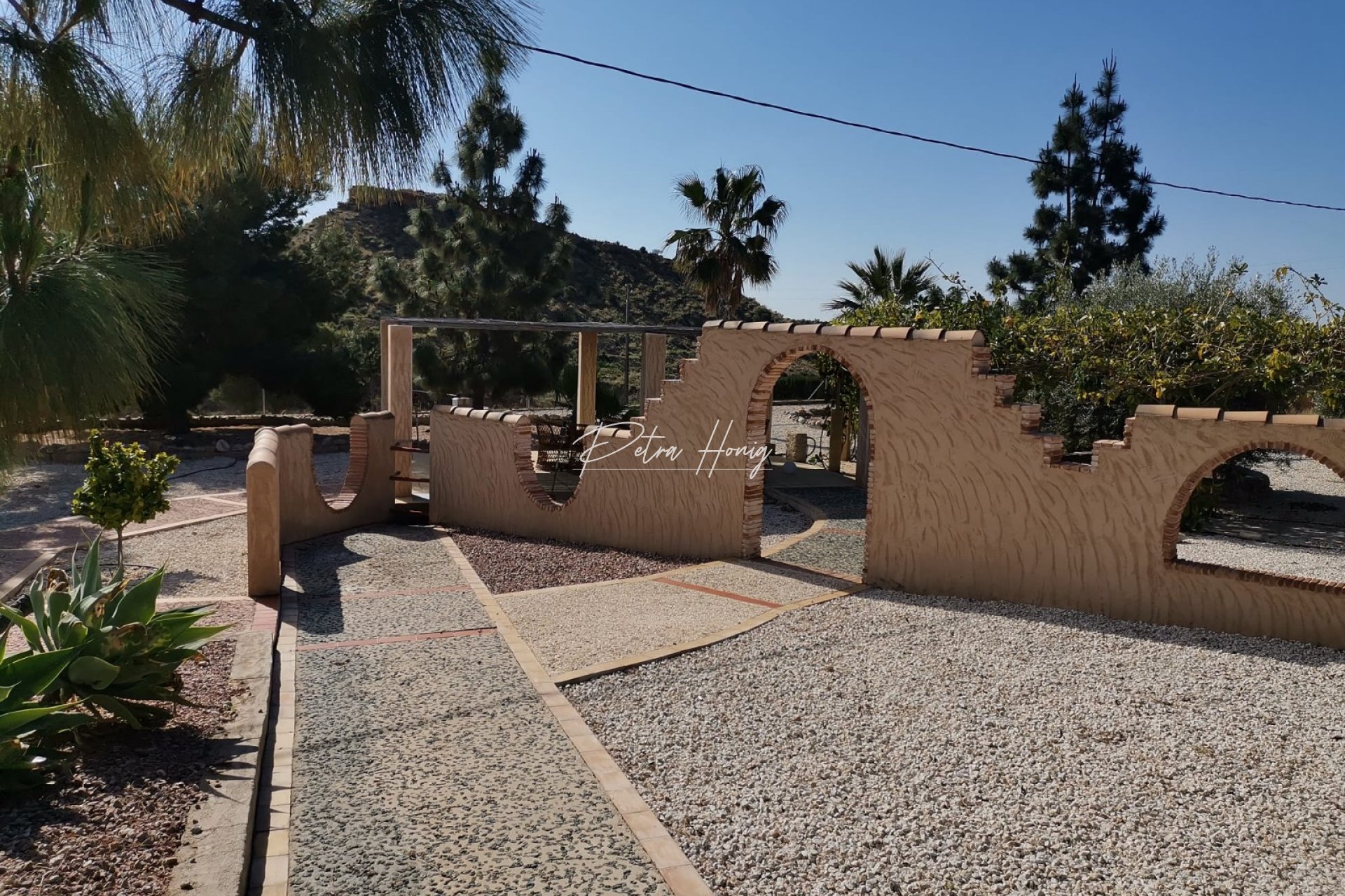 Reventa - Finca - Crevillente
