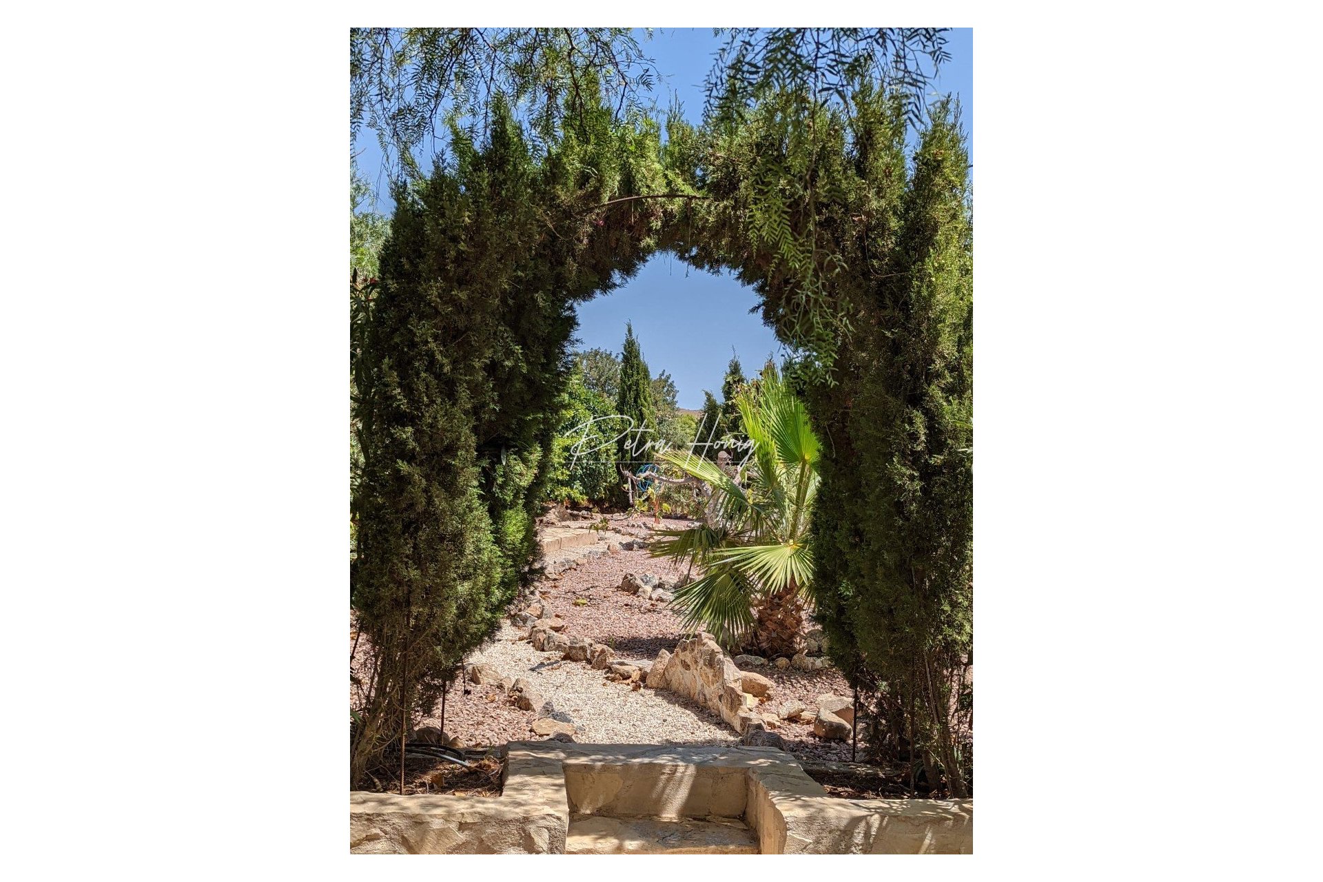 Reventa - Finca - Crevillente