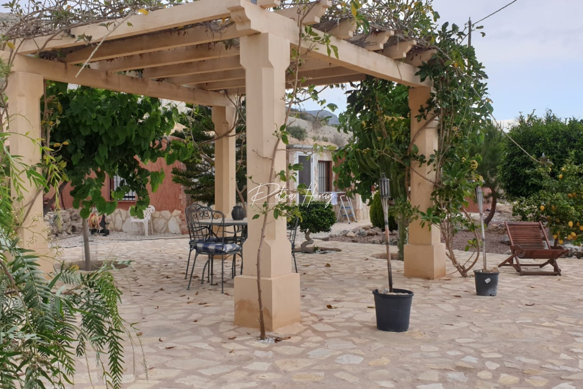 Reventa - Finca - Crevillente