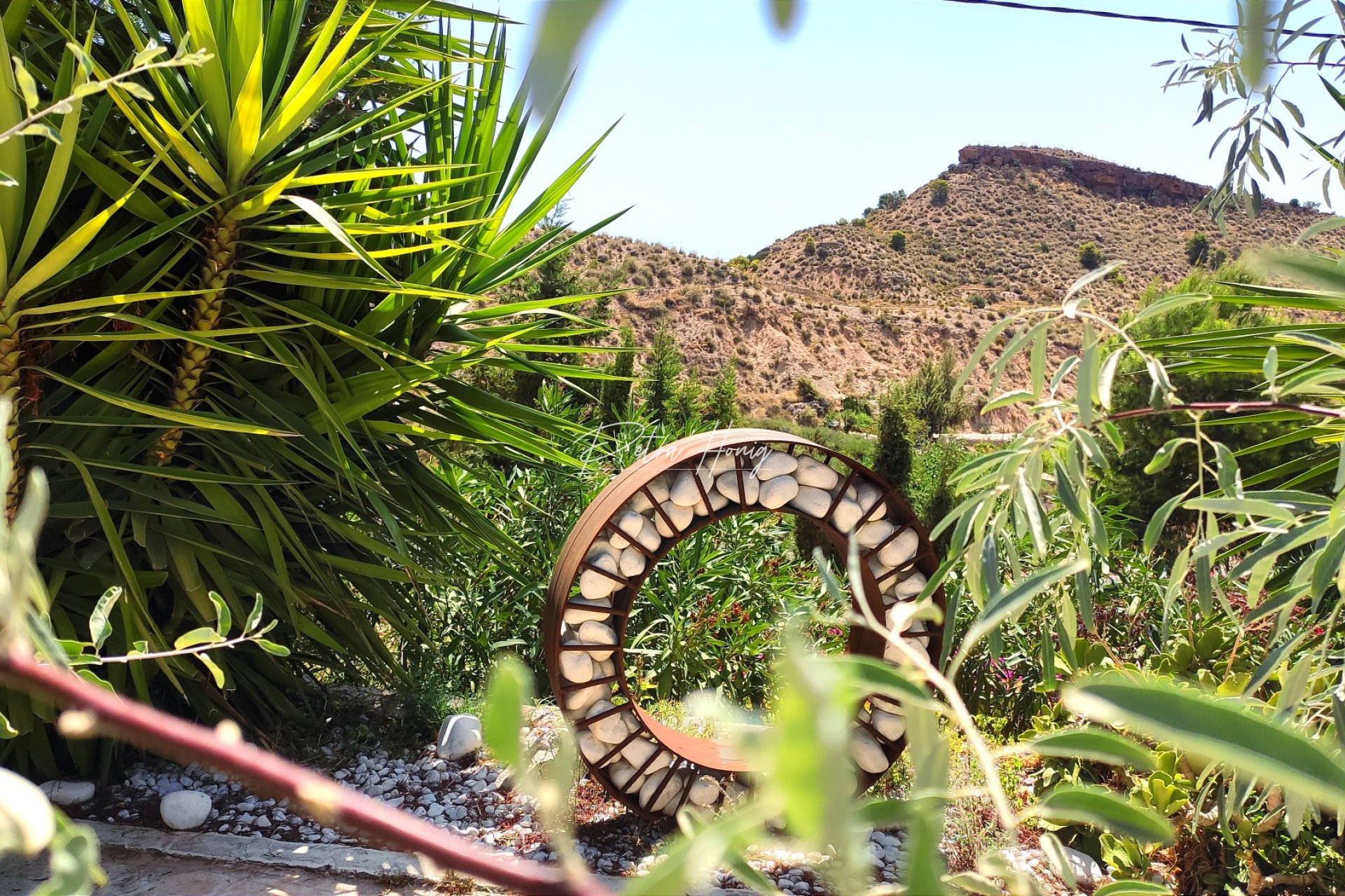 Reventa - Finca - Crevillente
